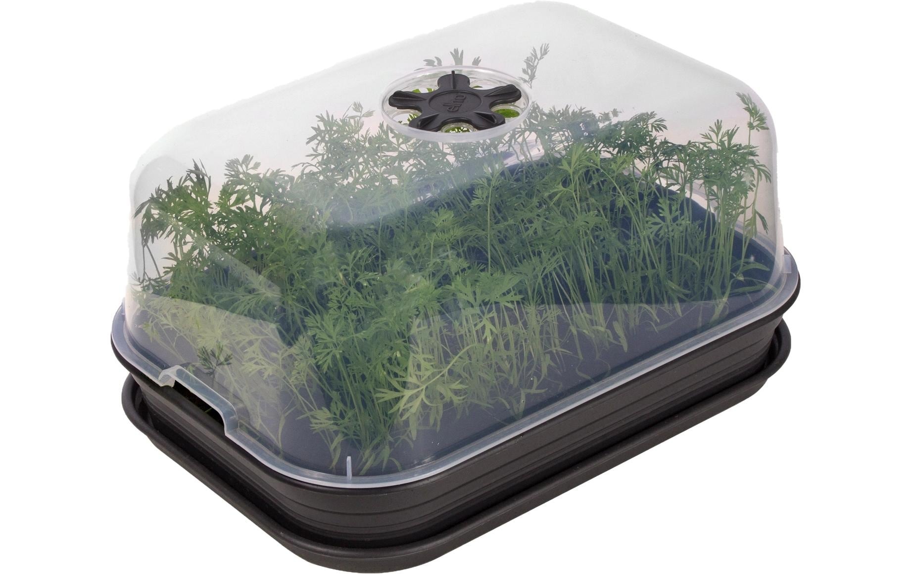 Elho Pot de culture »Anzuchtset M Green Basics«