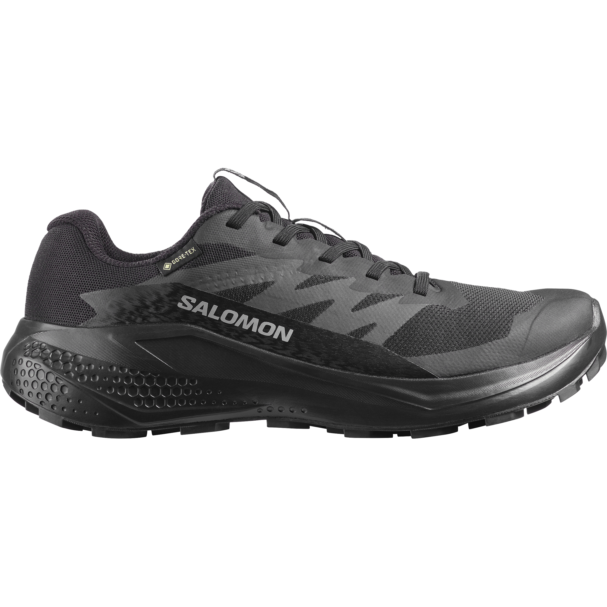 Salomon Chaussures de trail »ALPHAGLIDE GTX W«  étanche