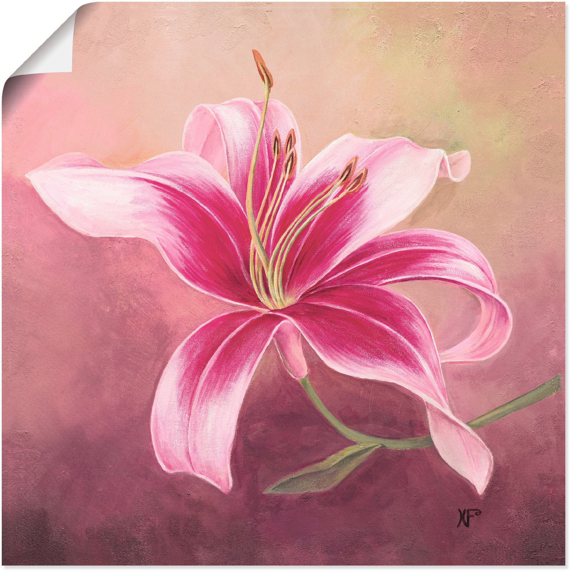 Artland Wandbild »Frühe Lilie« Blumen 1 Stk. tlg. als Leinwandbild, Poster in verschied. Grössen