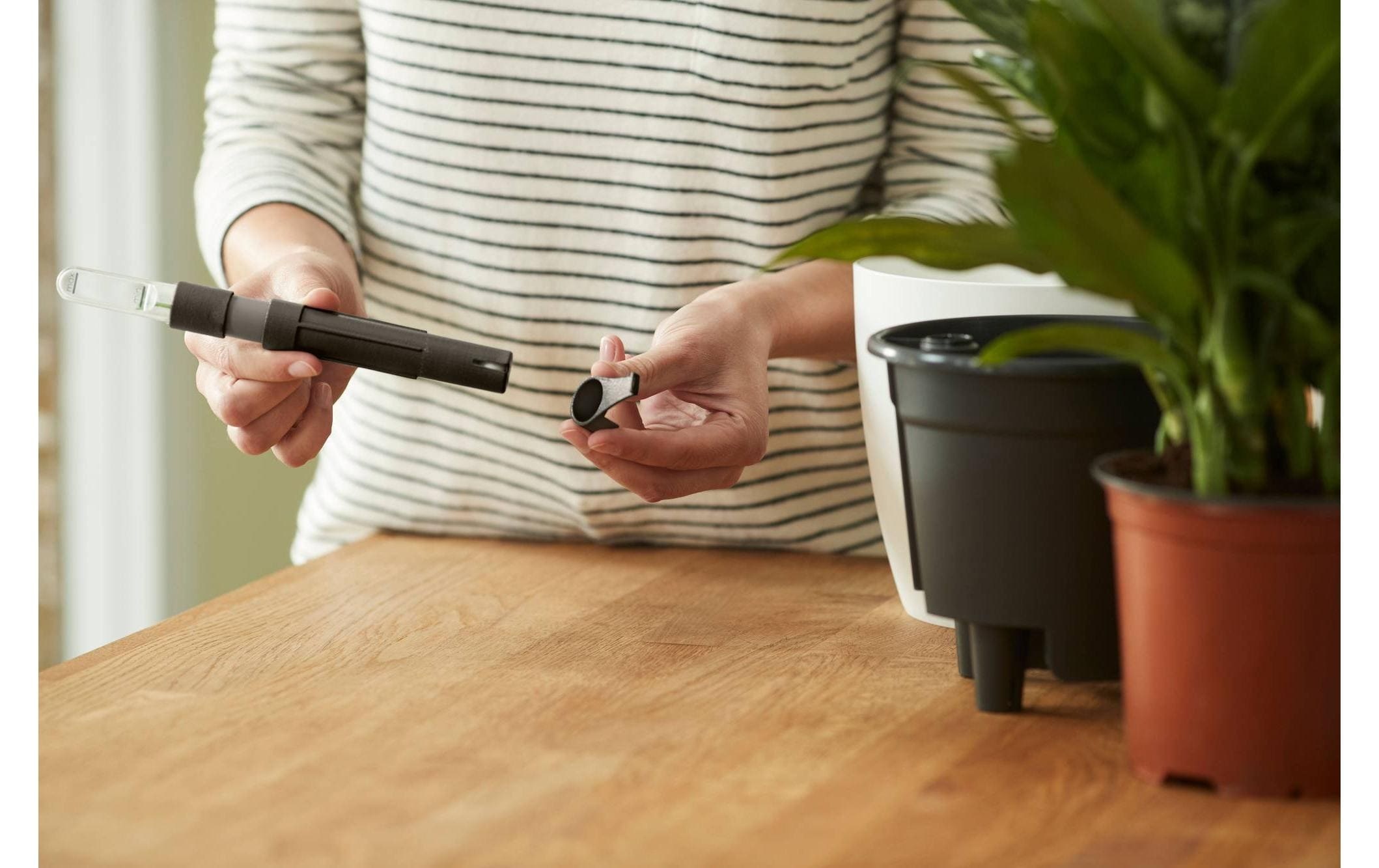 Elho Pot de fleurs »Selbstbewässerungssystem«