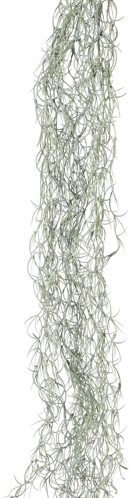 Creativ green Liane artificielle »Tillandsienranke«