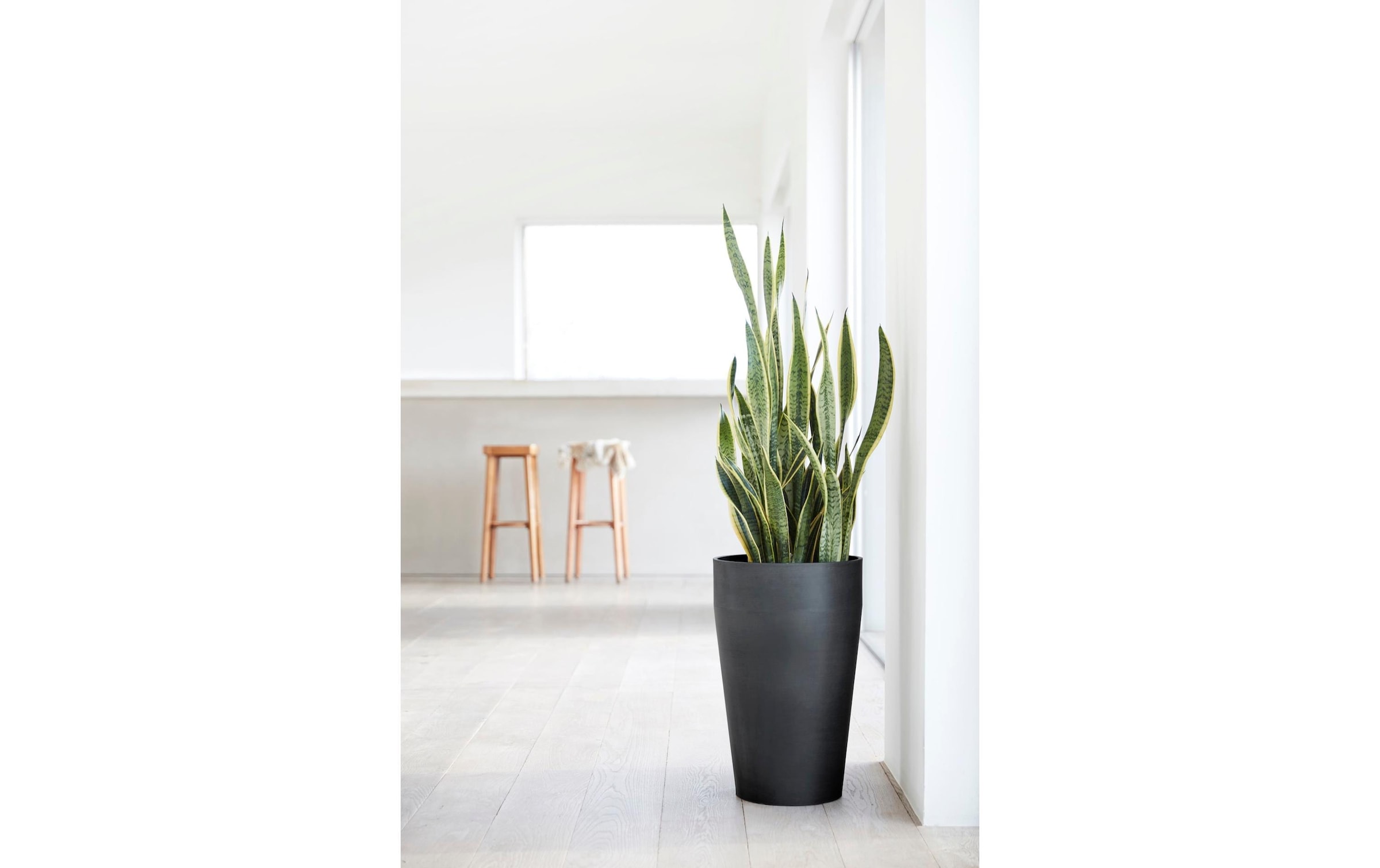   Pot de fleurs »Sankara High Ø 75 cm«