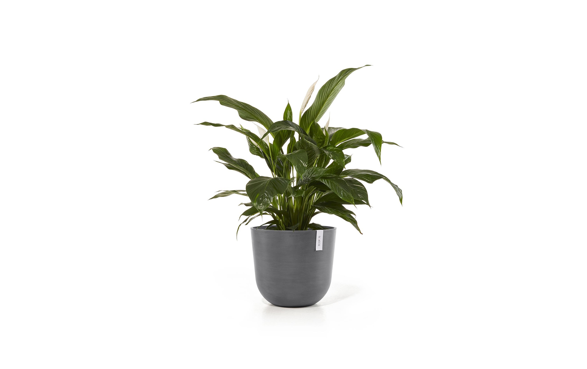 ECOPOTS Blumentopf »Oslo 45 Grau«