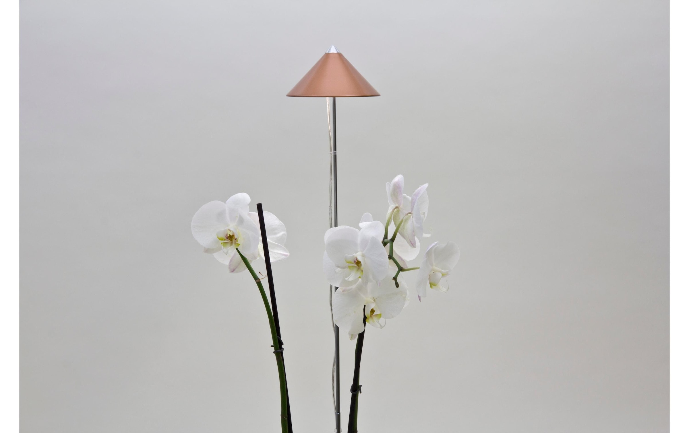   Lampe pour plantes »Neogard SunLite Kupfer, 7W«