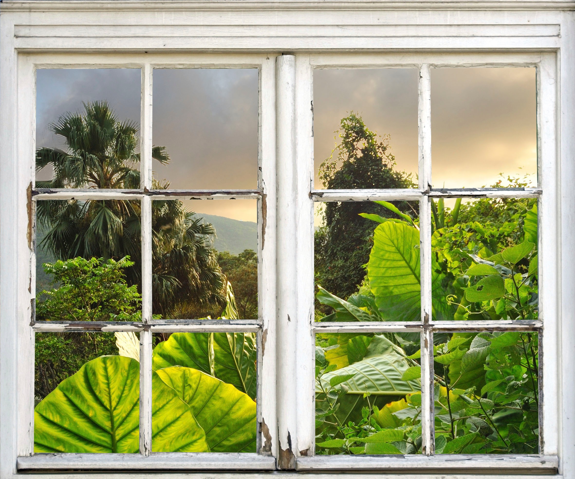 queence Wandsticker »Wald« Wandsticker, Wandbild, selbstklebend, 3D, Fenster