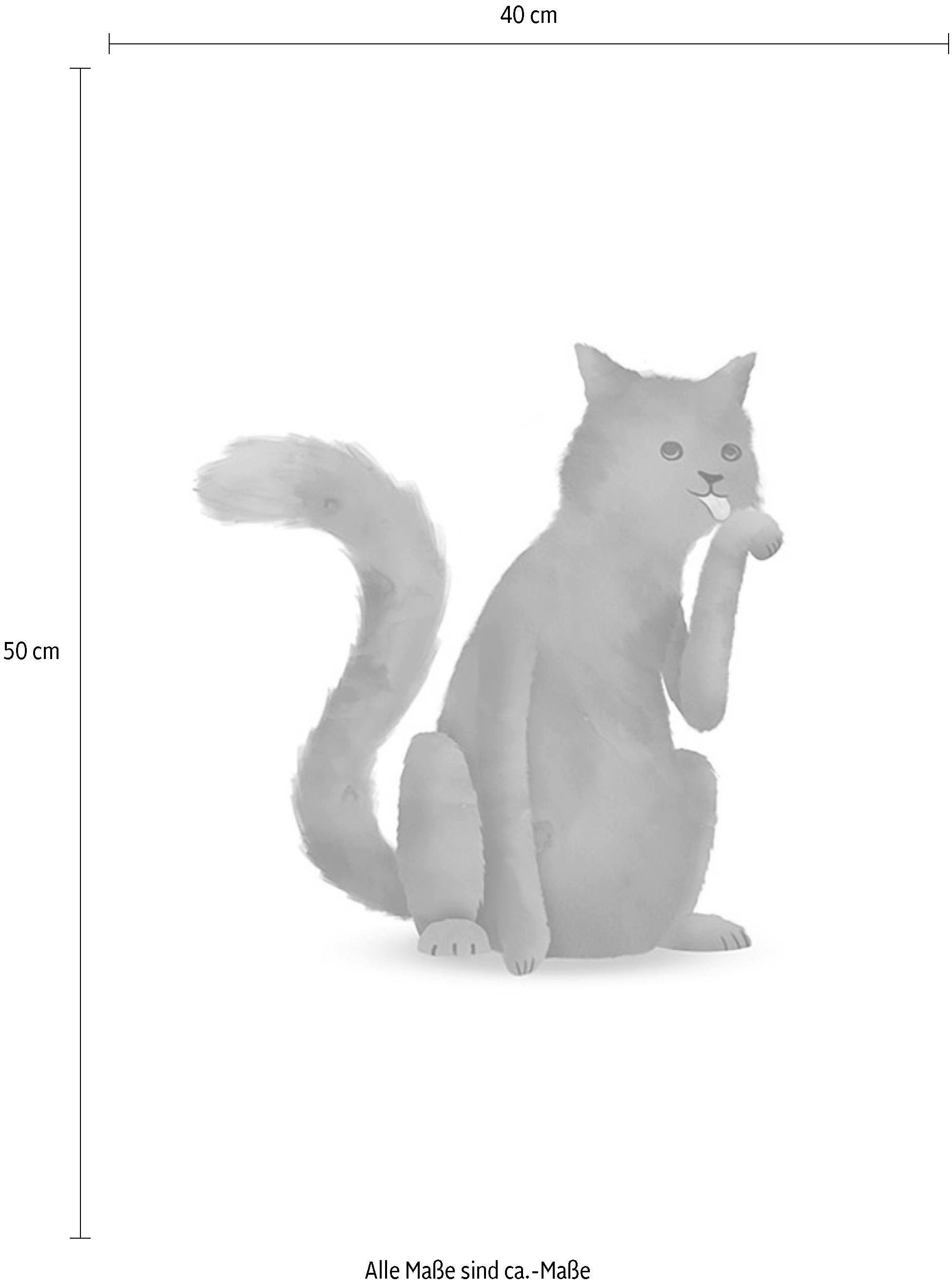 Komar Image »Cute Animal Cat« 1 cuis tlg. Wandbild zur Dekoration - ohne Rahmen