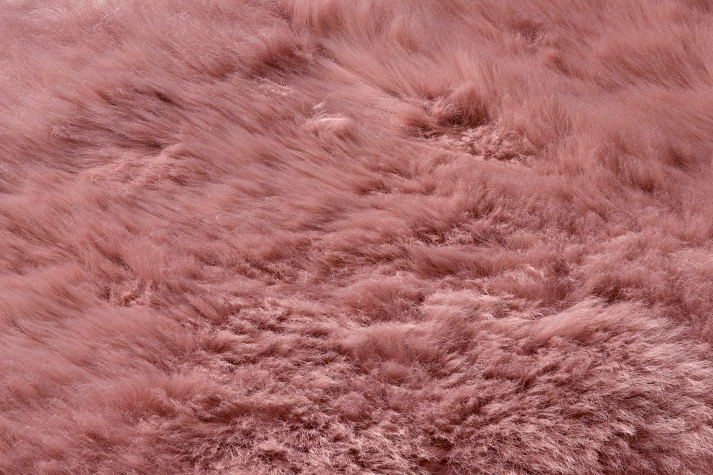 heine home Tapis En forme de fourrure 70 mm Höhe