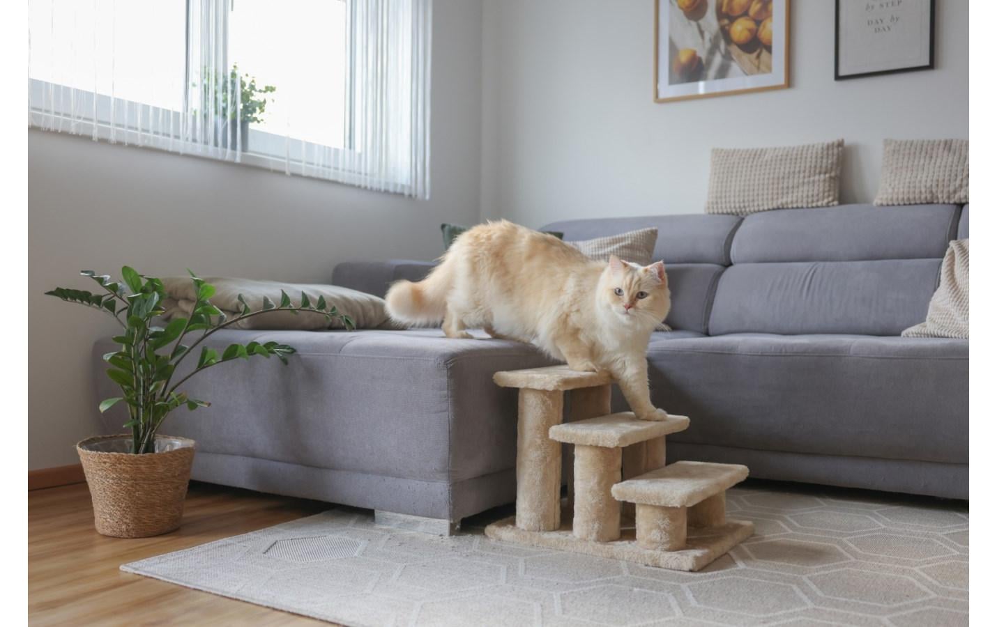 Kerbl Escalier pour animaux domestiques »Easy Climb 2.0, bis 50 kg 45 x 35 x 34 cm«