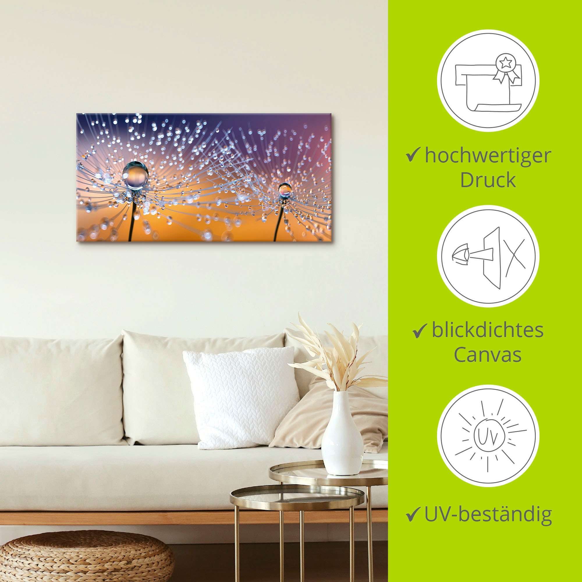 Artland Tableau sur toile »Pusteblumen Tautropfen« 1 cuis tlg. als Alubild, Outdoorbild, Leinwandbild, Poster, Wandaufkleber