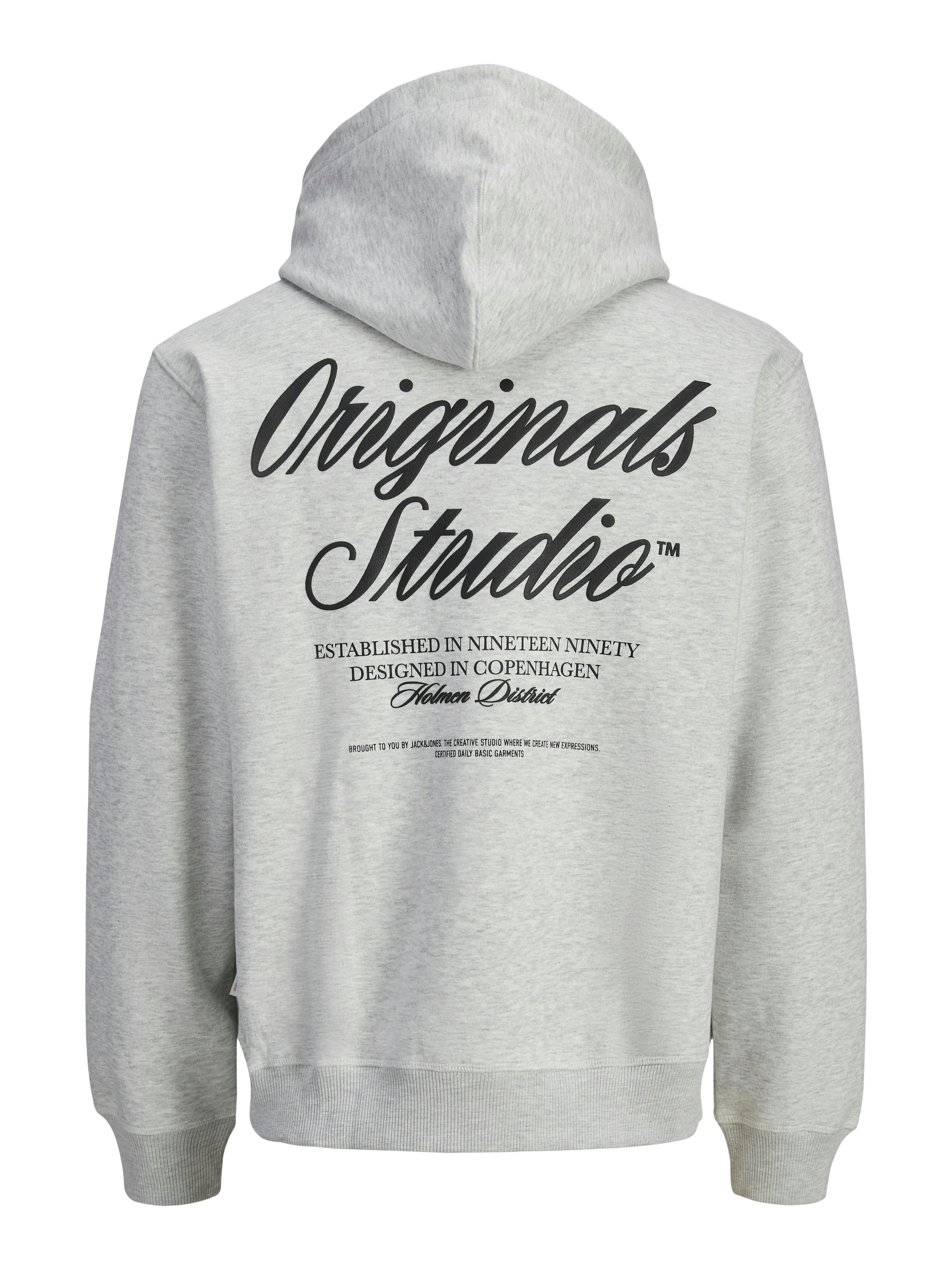Jack & Jones Kapuzensweatshirt »JORNORREBRO TYPO BACK SWEAT HOOD SN« mit Print