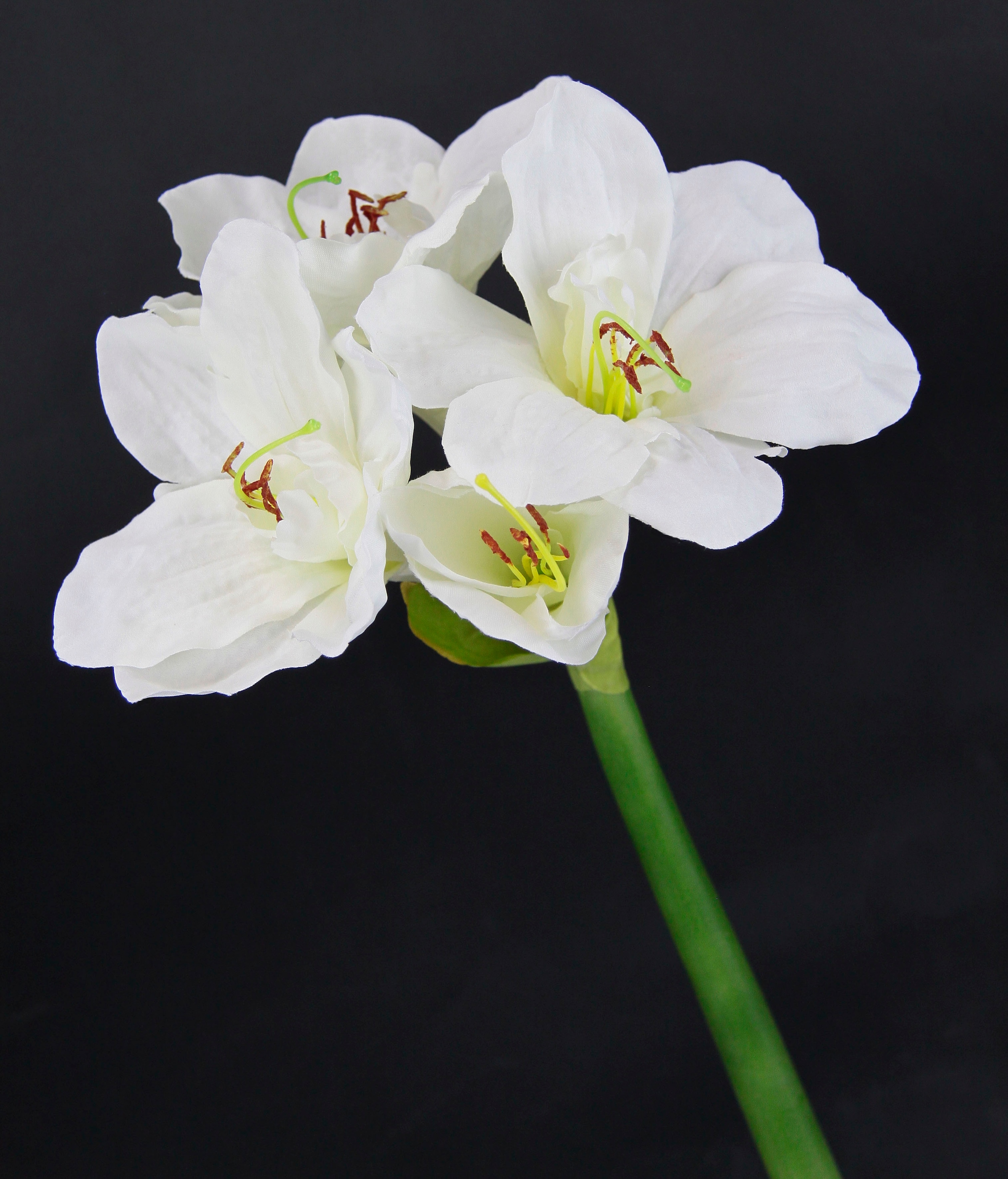 I.GE.A. Fleur artificielle »Amaryllis« Kunst-Stielblume, 3er Set