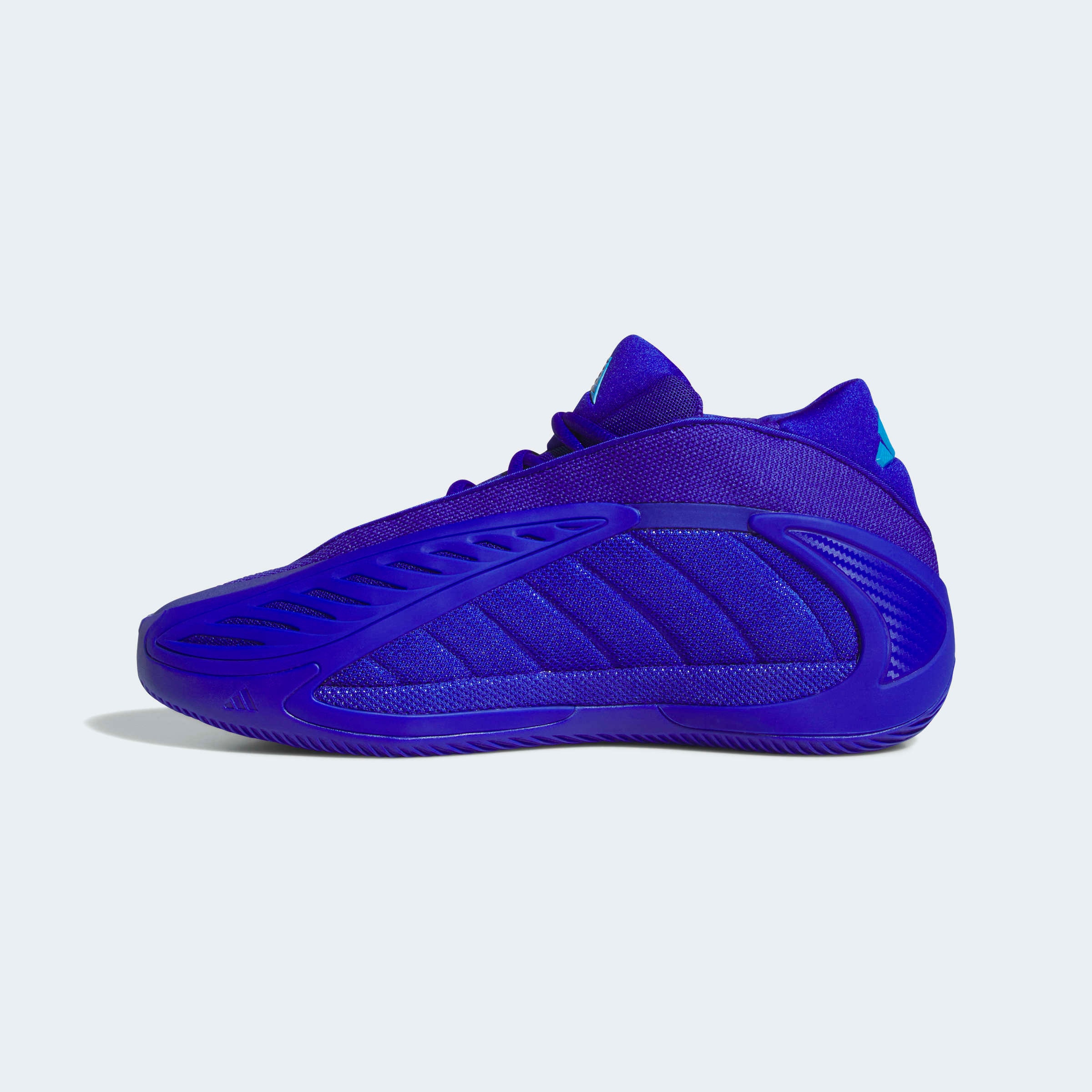adidas Performance Chaussure de basket »ANTHONY EDWARDS 2«