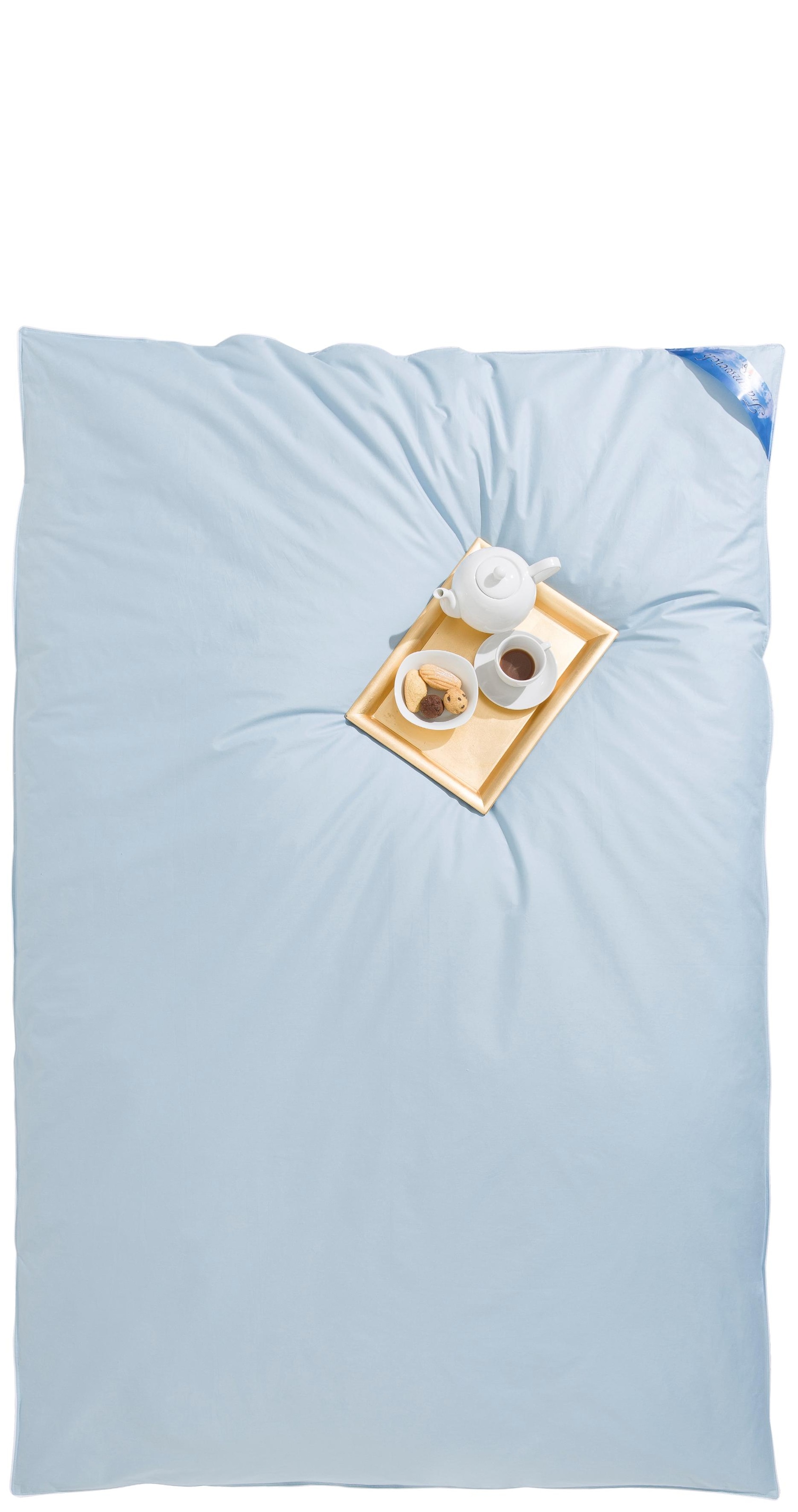 RIBECO Couette en plumes »Leon 100% Federn, Bettdecke 135x200 & weitere Grössen« ultra-chaud Füllung 100 % plumes 1 cuis tlg. fabriqué en Allemagne