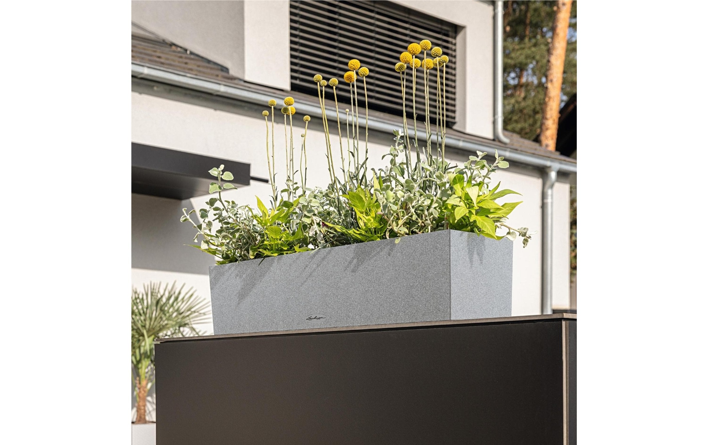   Bac de balcon »Lechuza BALCONERA Stone 40«