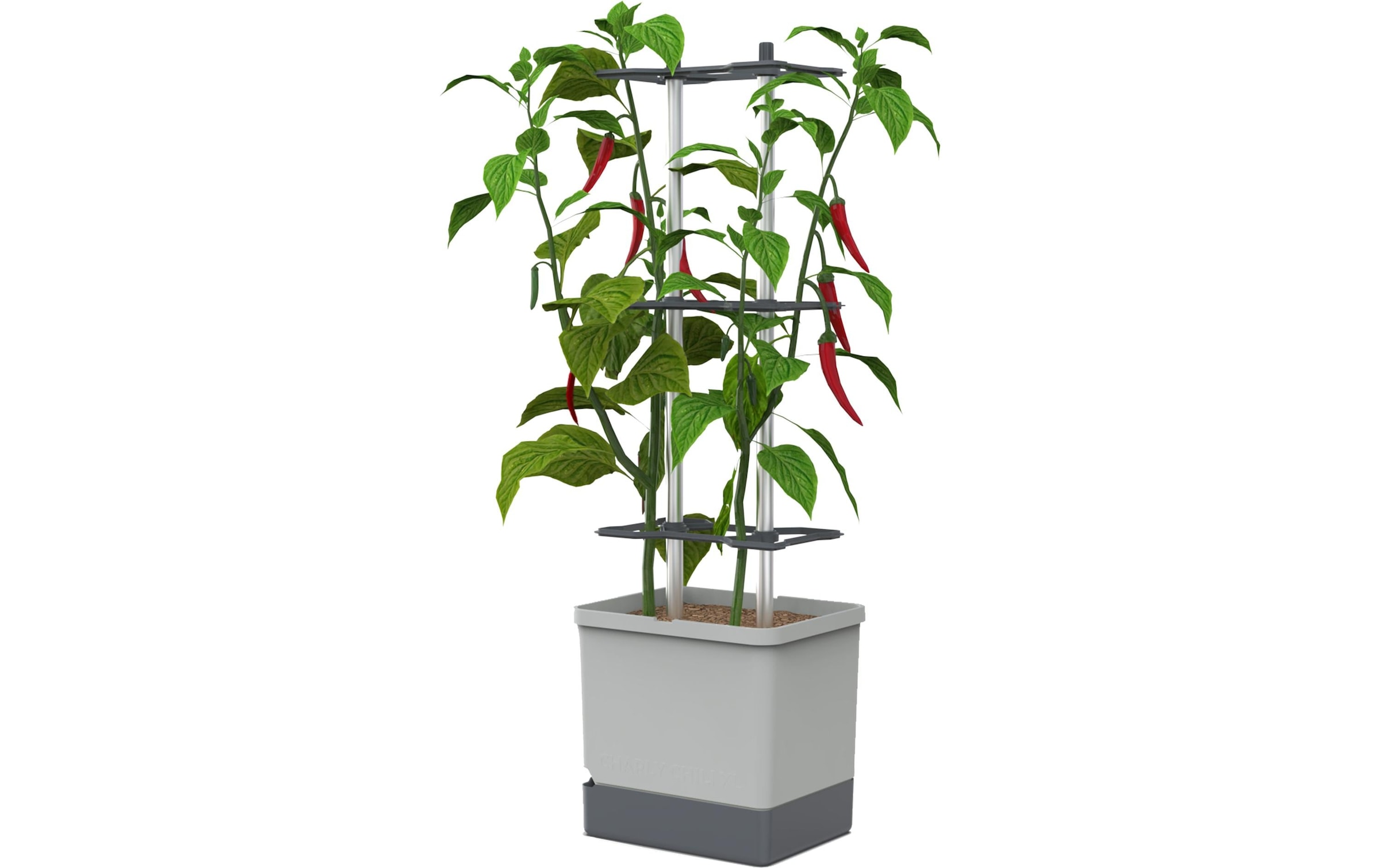 Gusta Garden Anzuchttopf »Charly Chili XL«