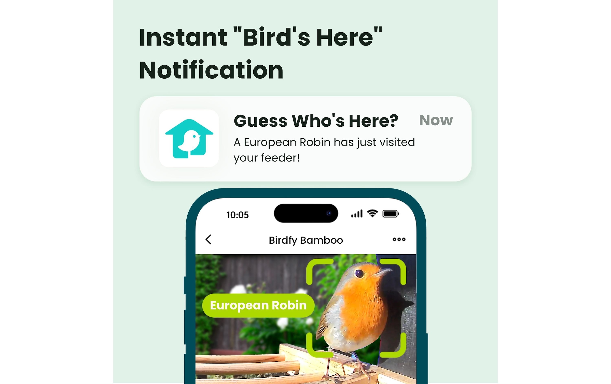   Vogelhaus »mit Kamera 1080p« Smartes Vogelhaus mit Kamera mit Farb-Nachtsicht