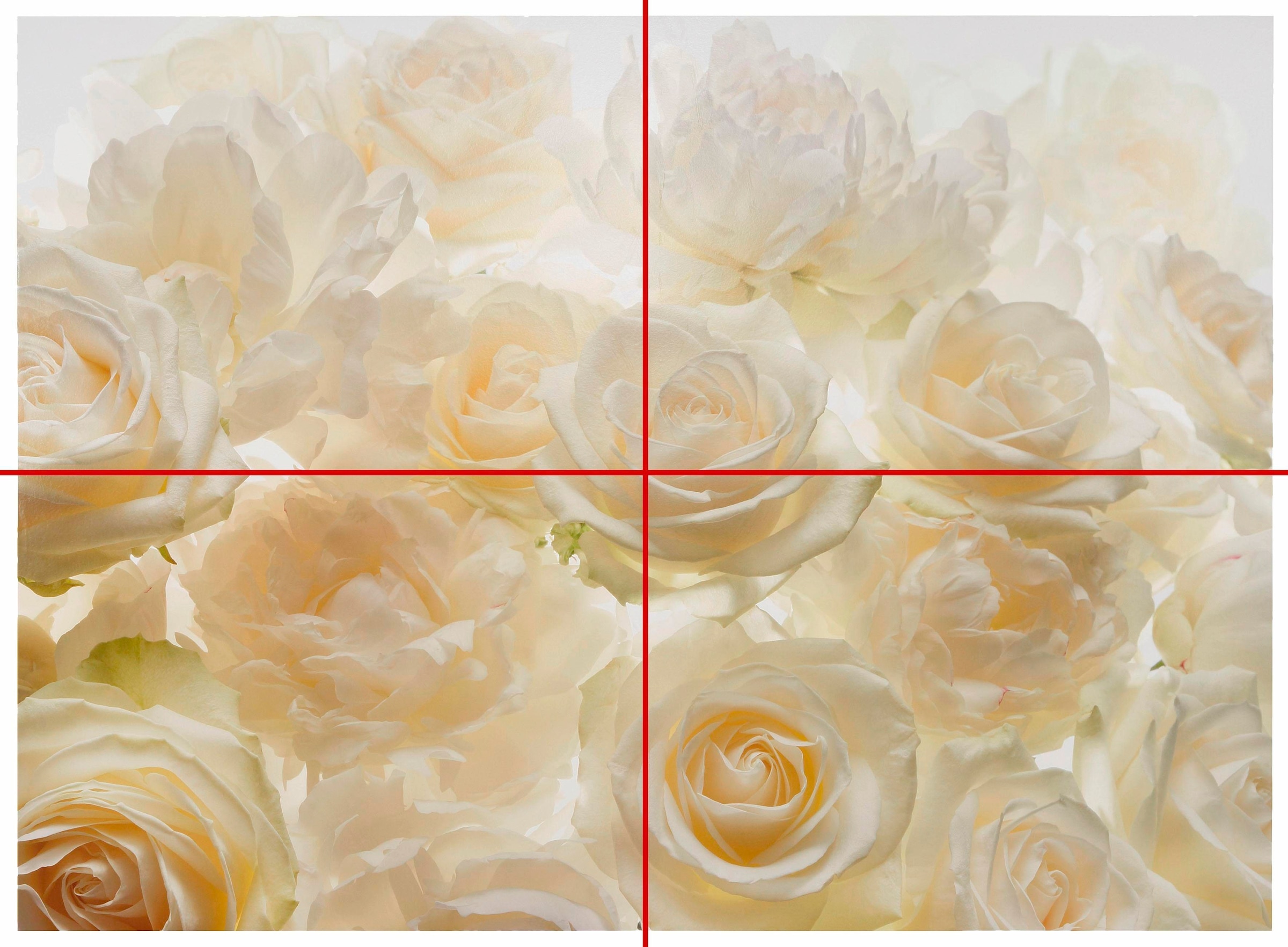 Komar Vliestapete »Vlies  - Shalimar - Grösse 368 x 248 cm« bedruckt glatt Wohnzimmer, Schlafzimmer