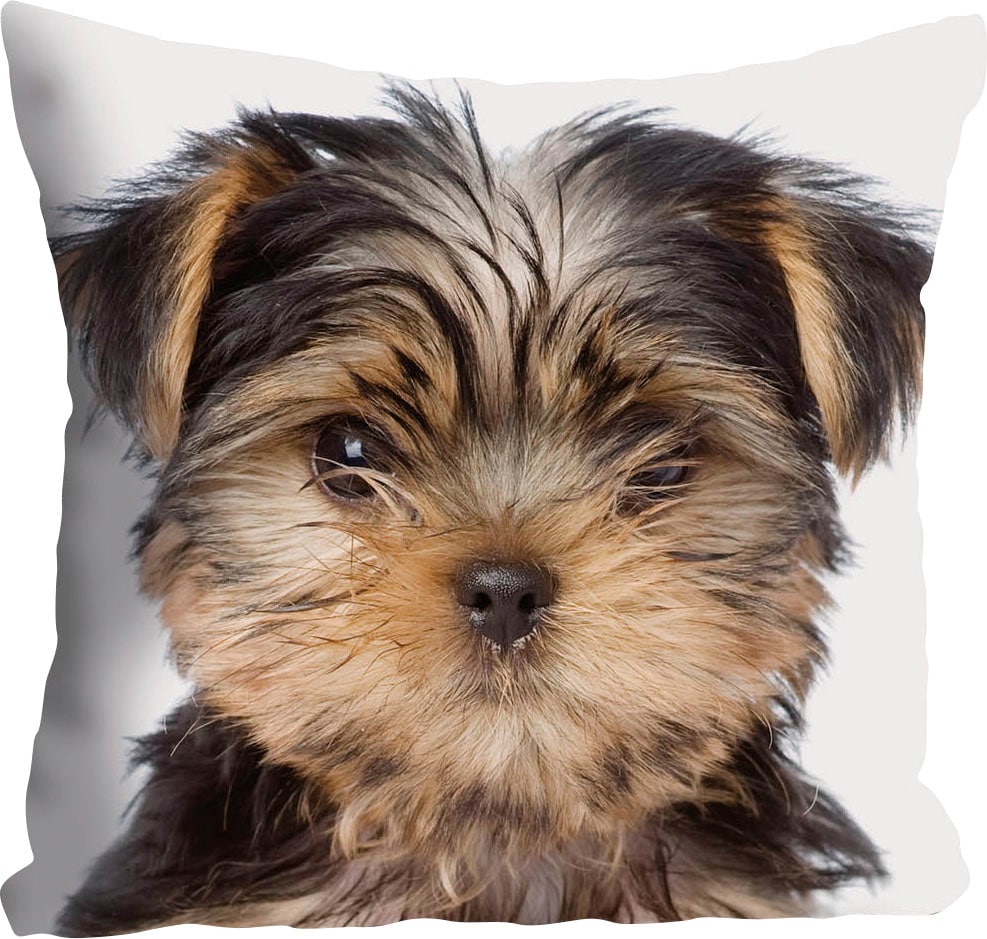 queence Dekokissen »Ines« Kissenhülle,Hund,Süss,Tiermotiv,Niedlich,Verspielt,Zart,Fröhlich