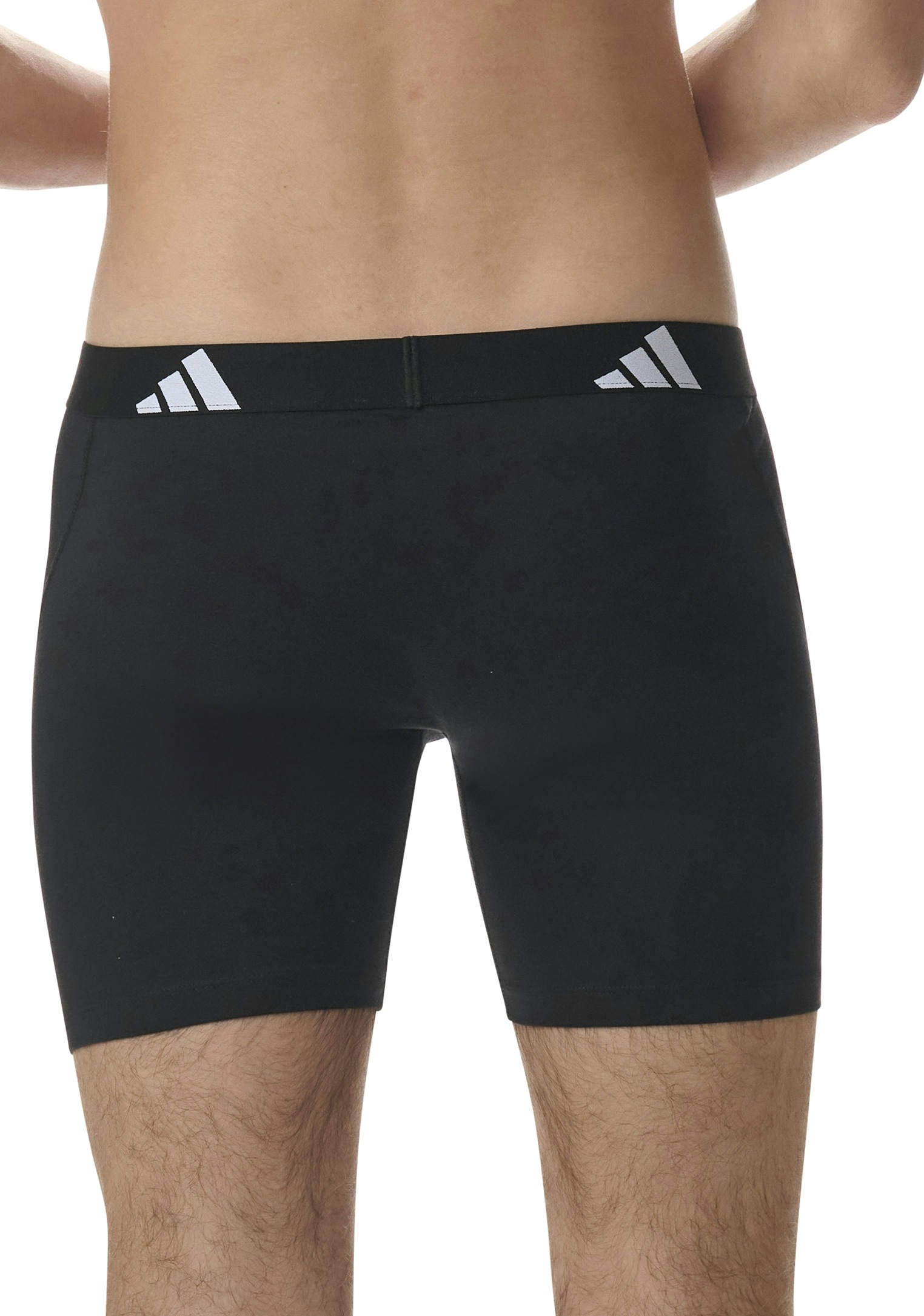adidas Sportswear Boxer »Active Flex Cotton« 3er Pack,  elastisch, Logo-Bund, sportlicher Look, ohne Eingriff