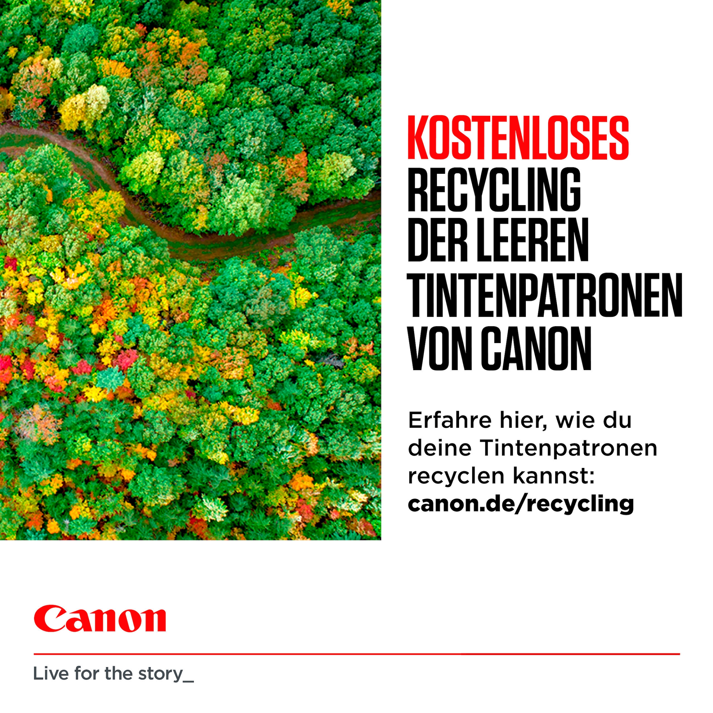 Canon Tintenpatrone »PGI-2500XL Multipack BK/C/M/Y Tinte mit hoher Reichweite«