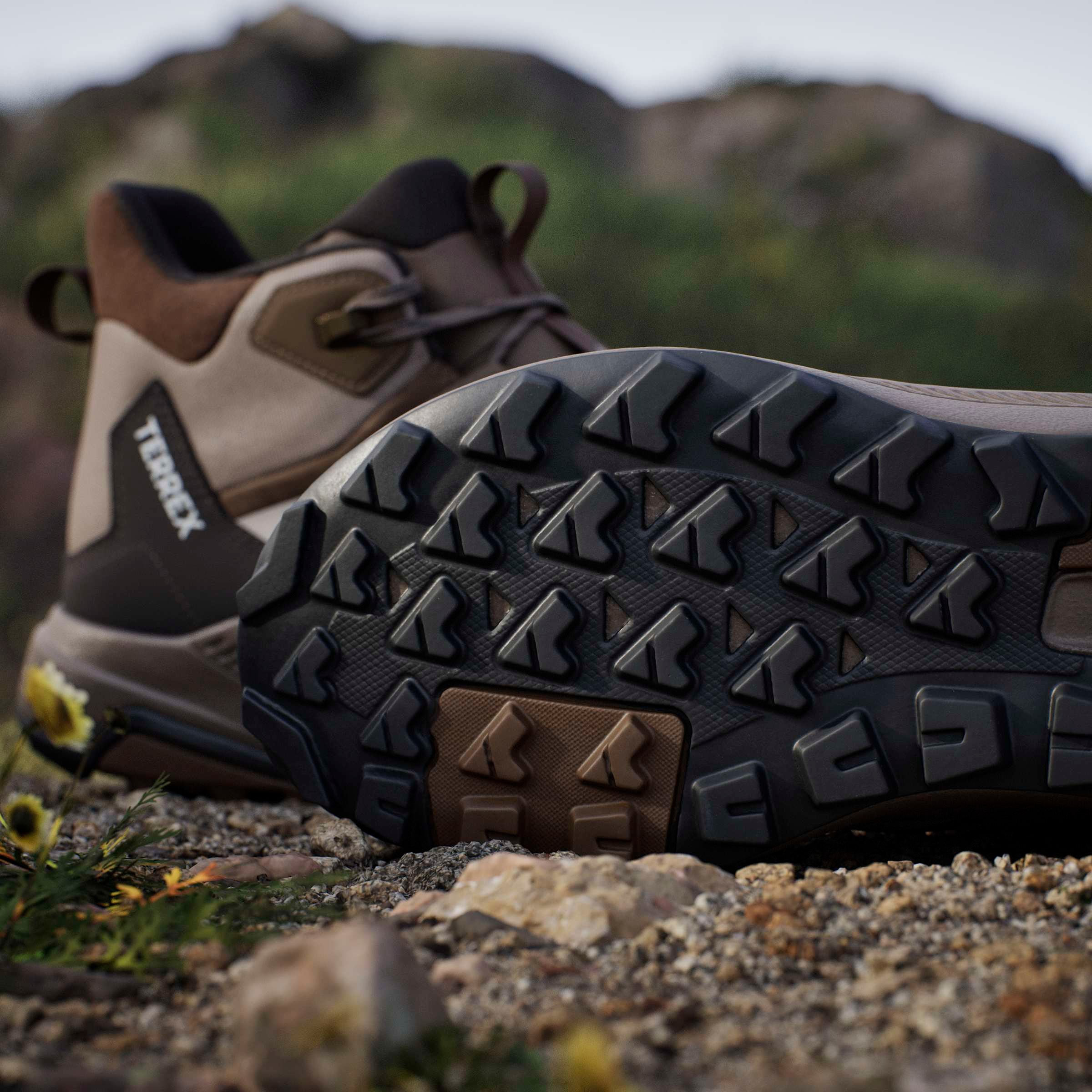 adidas TERREX Chaussure de randonnée »ANYLANDER MID , LEDER«  en cuir