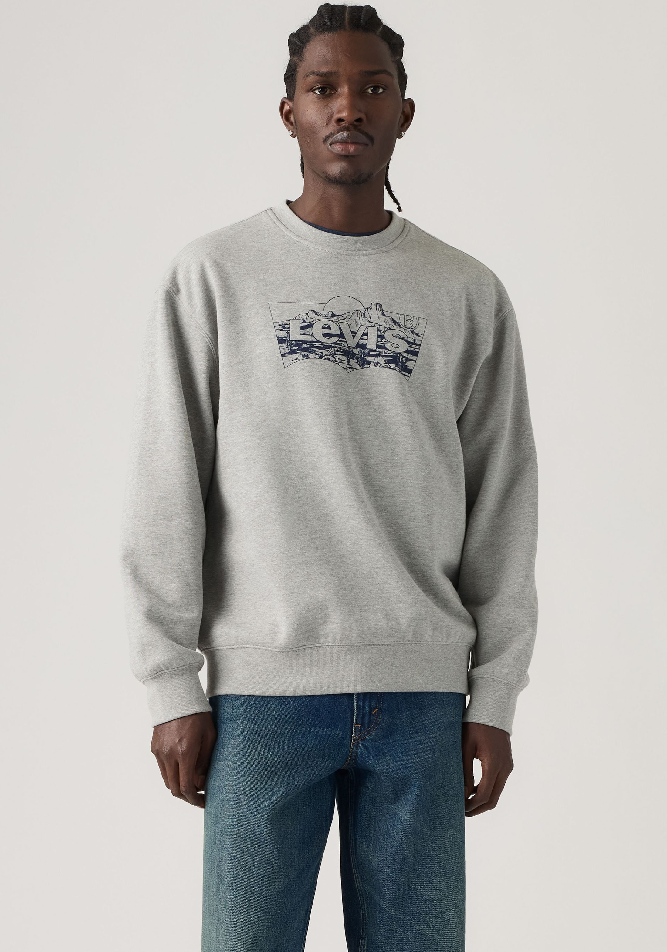 Levi's® Sweat-shirt »RELAXD GRAPHIC CREW NEUTRALS«
