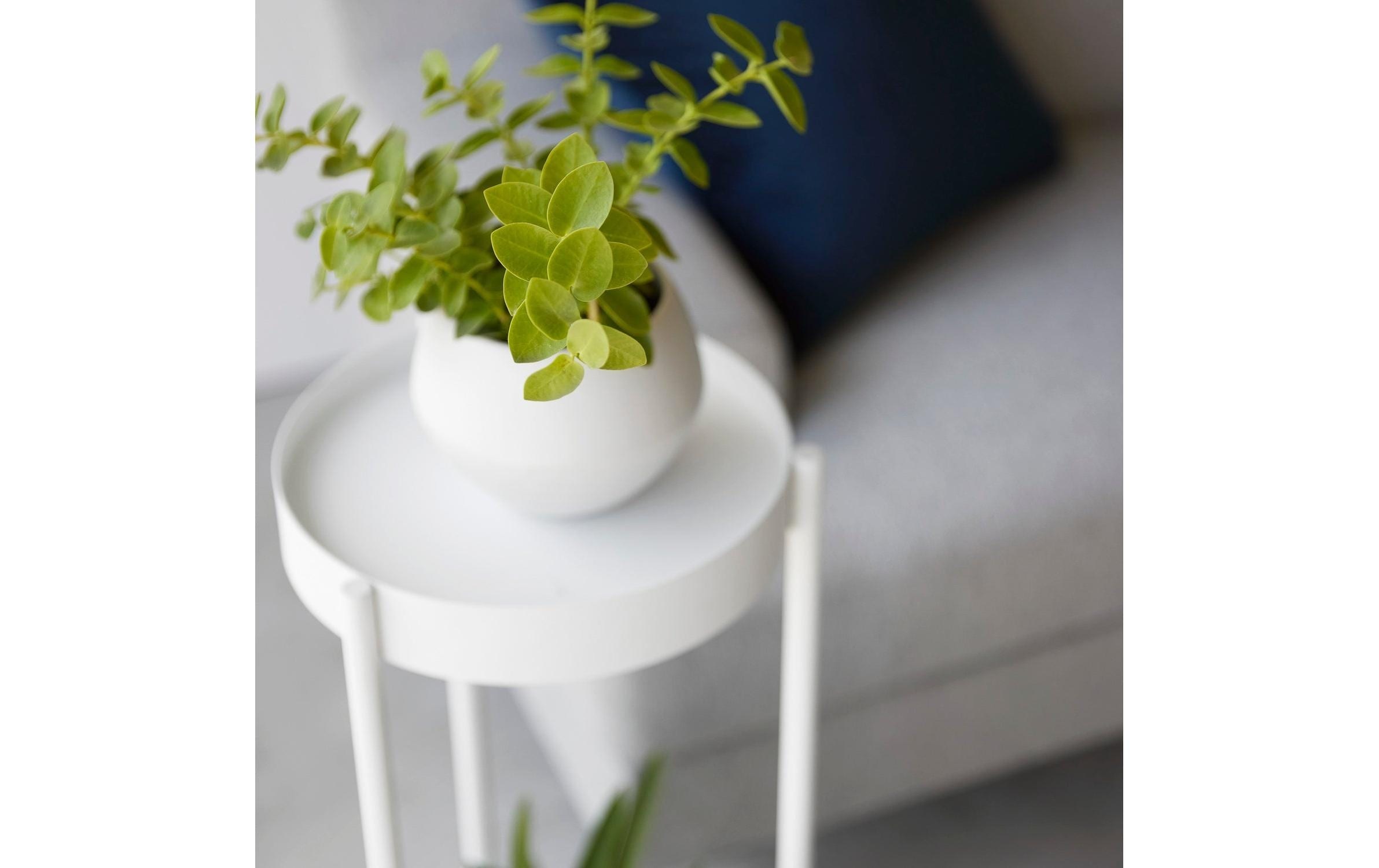 Yamazaki Blumenständer »Tower 25 x 26,5 x 70 cm«