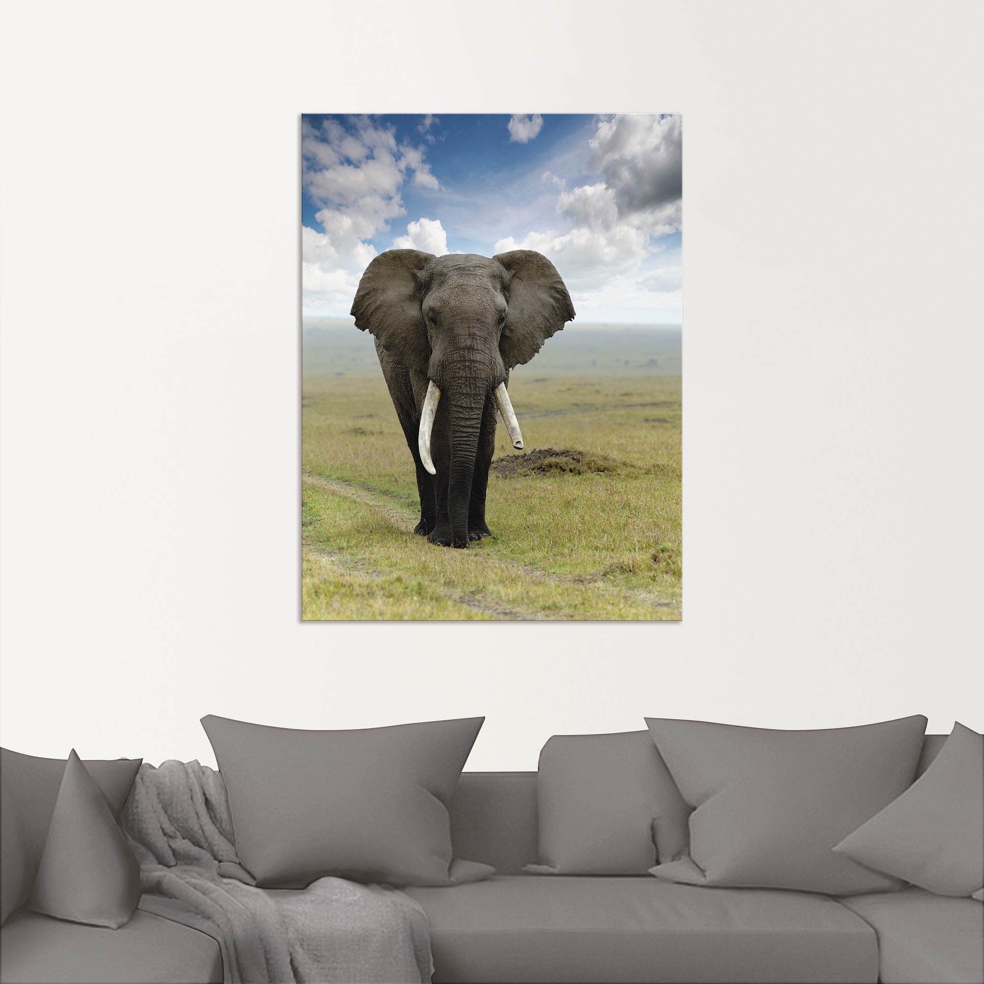 Artland Wandbild »Elefant« Wildtiere 1 Stk. tlg. als Alubild, Leinwandbild in verschied. Grössen