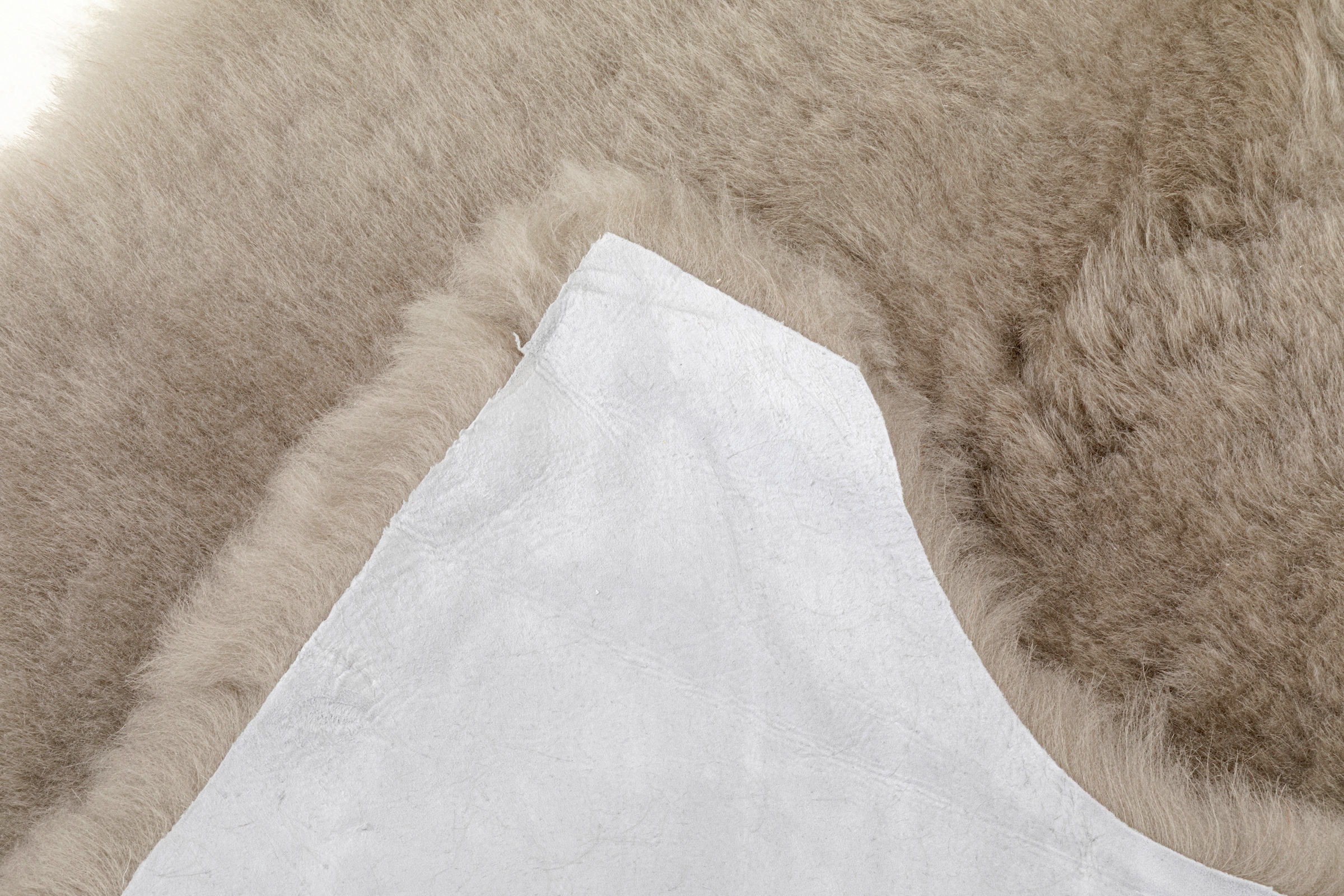 Kare Design Tapis »Lammfell Heidi 65x85cm« Forme de motif 4 mm Höhe blanc ou gris