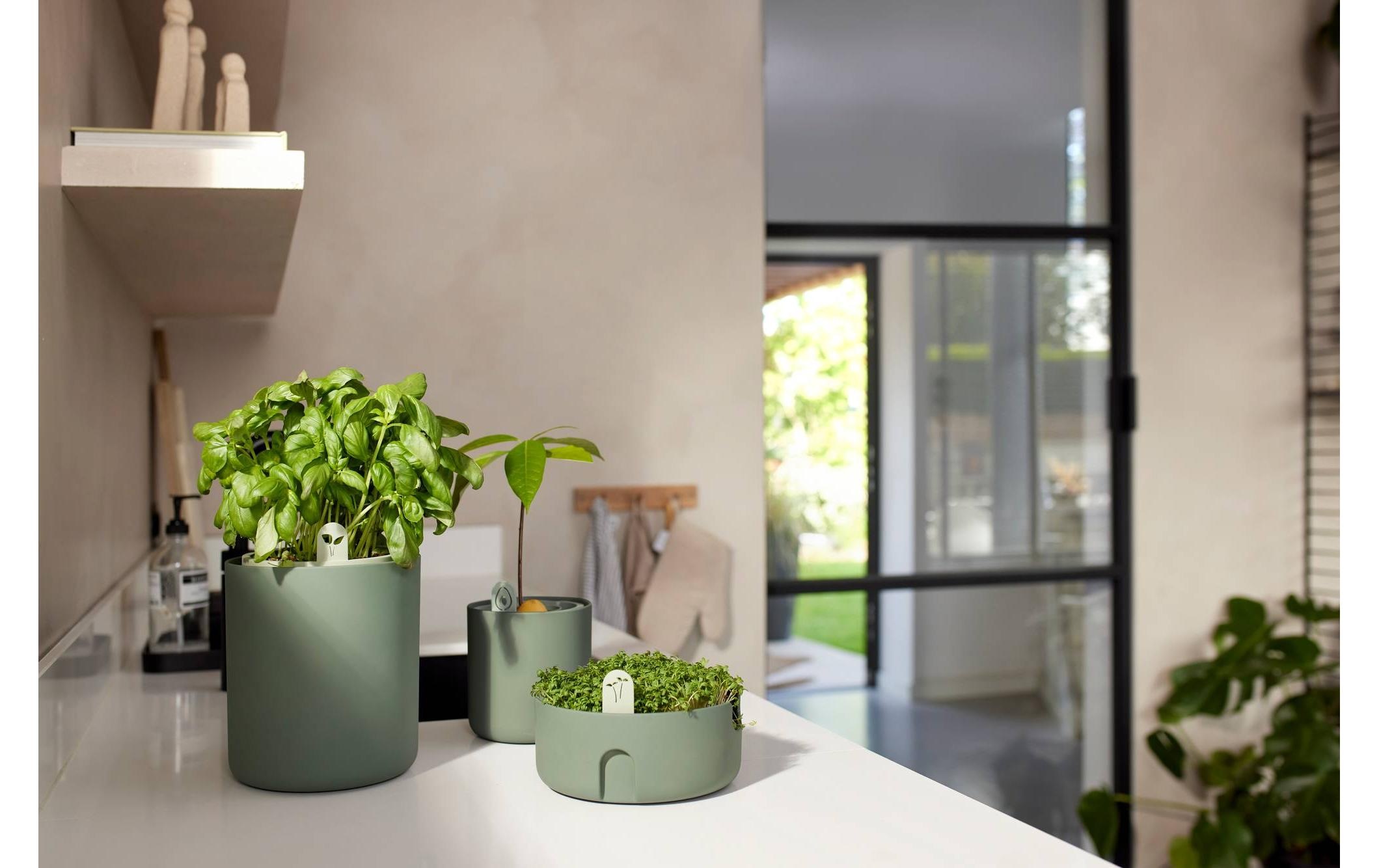 Elho Pot à herbes »Bouncy Basil 17 cm«