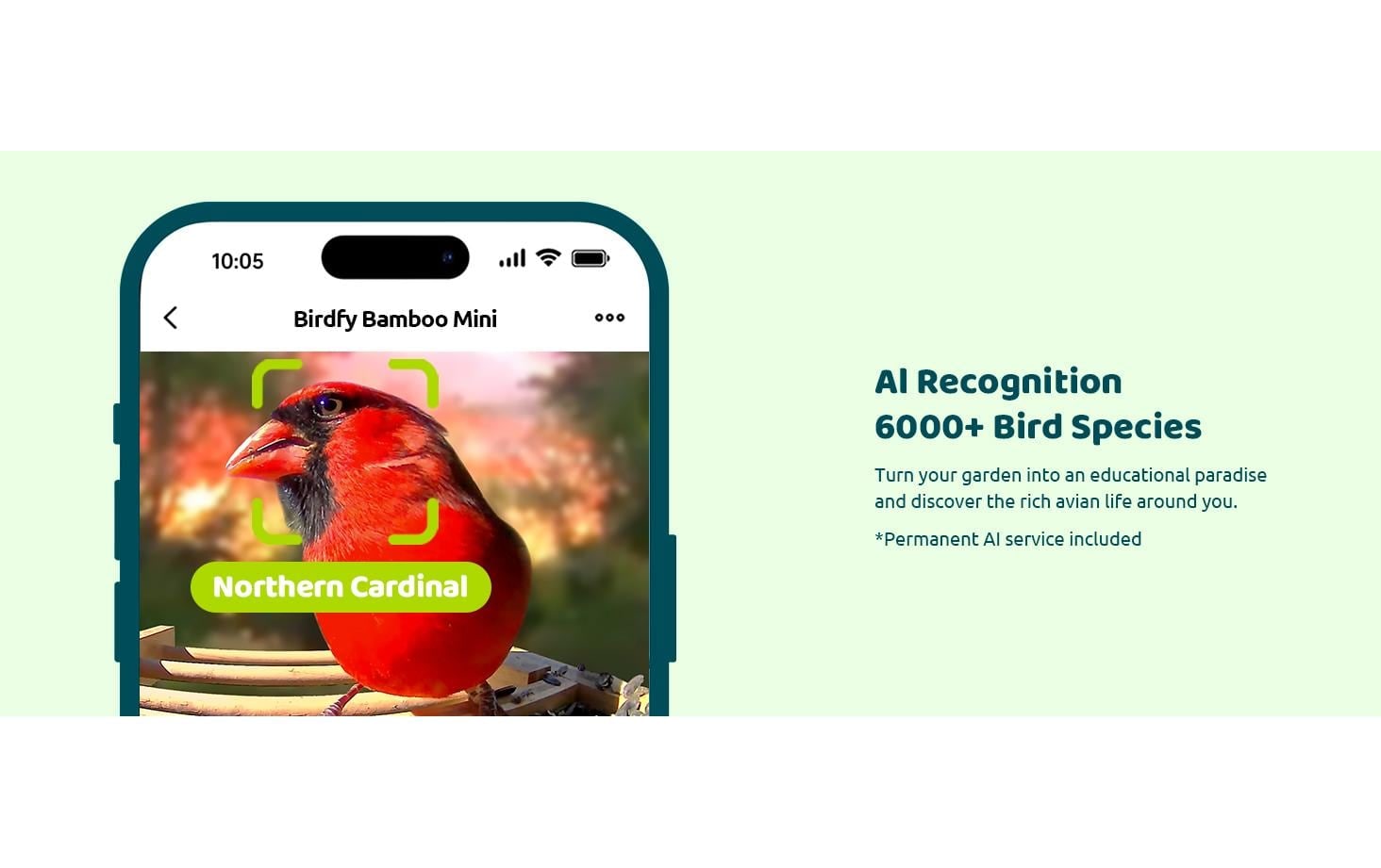 Birdfy Distributeur de nourriture »FSC Bambus Mini Solar«