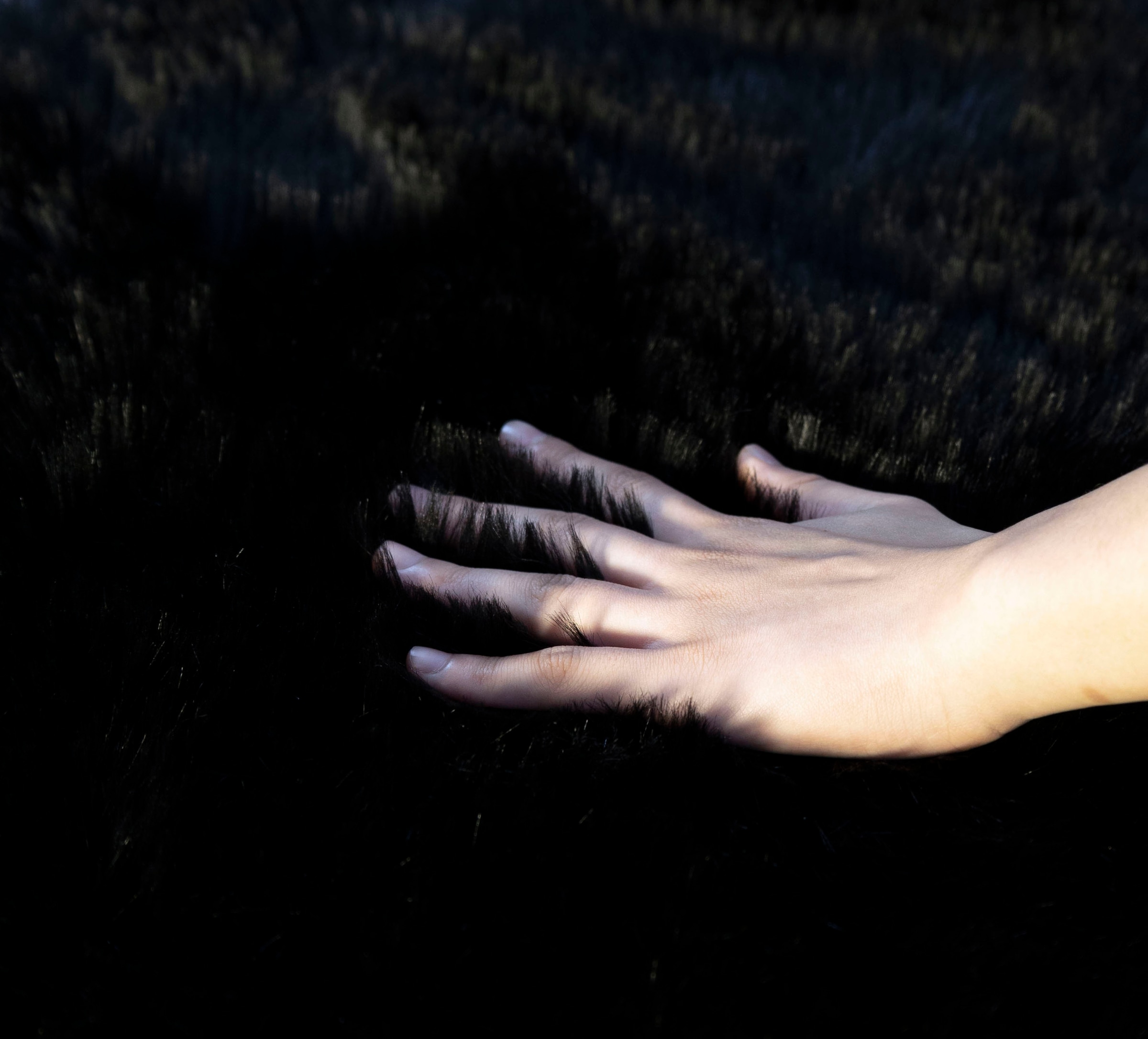 my home Tapis en fourrure »Dena, Hochflor Teppiche« Rectangulaire 60 mm Höhe Kunstfell, weich, Uni-Farben, Wohnzimmer, Schlafzimmer, Esszimmer