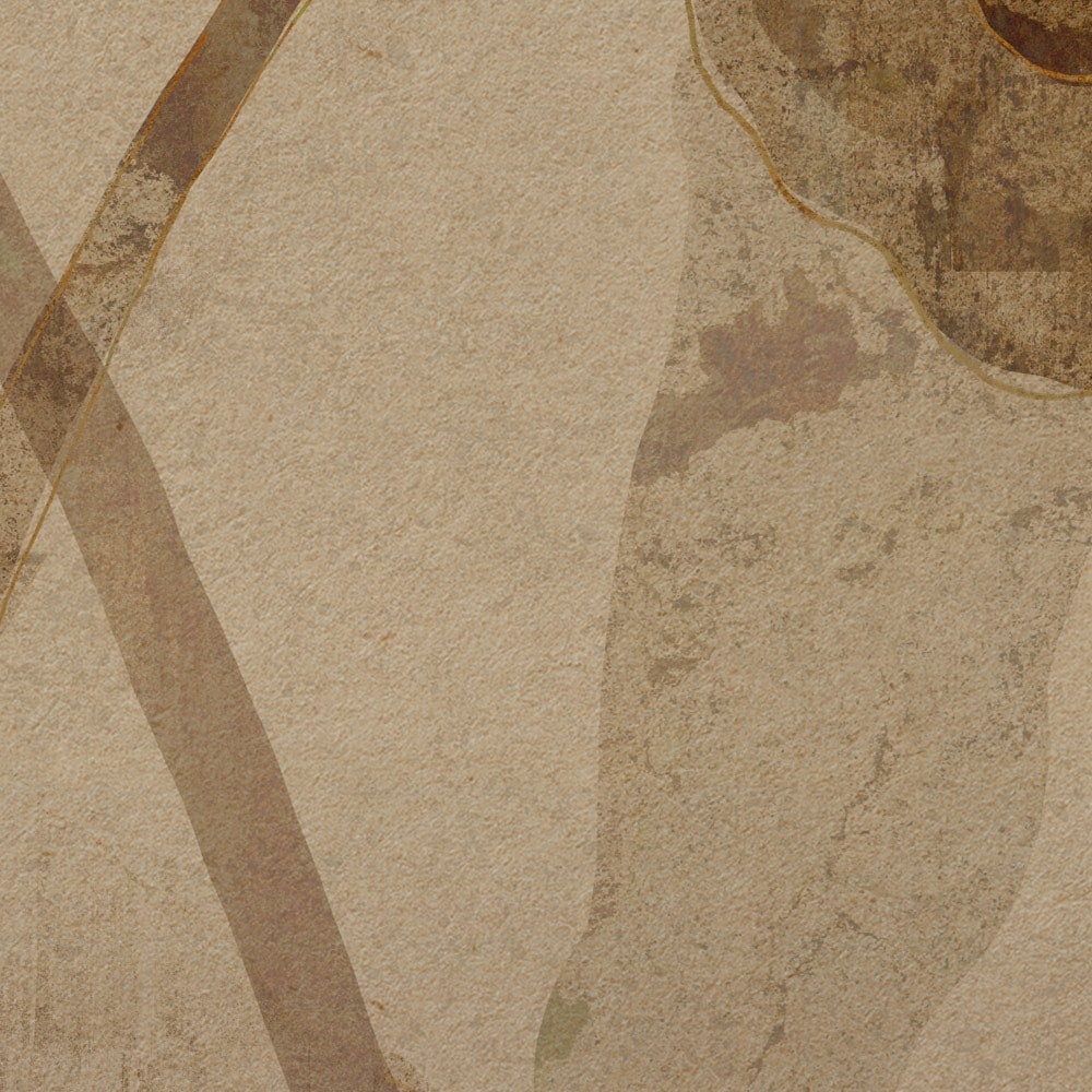 Komar Papier peint photo »Vlies Fototapete - Petal Whispers - Grösse 300 x 250 cm« imprimé