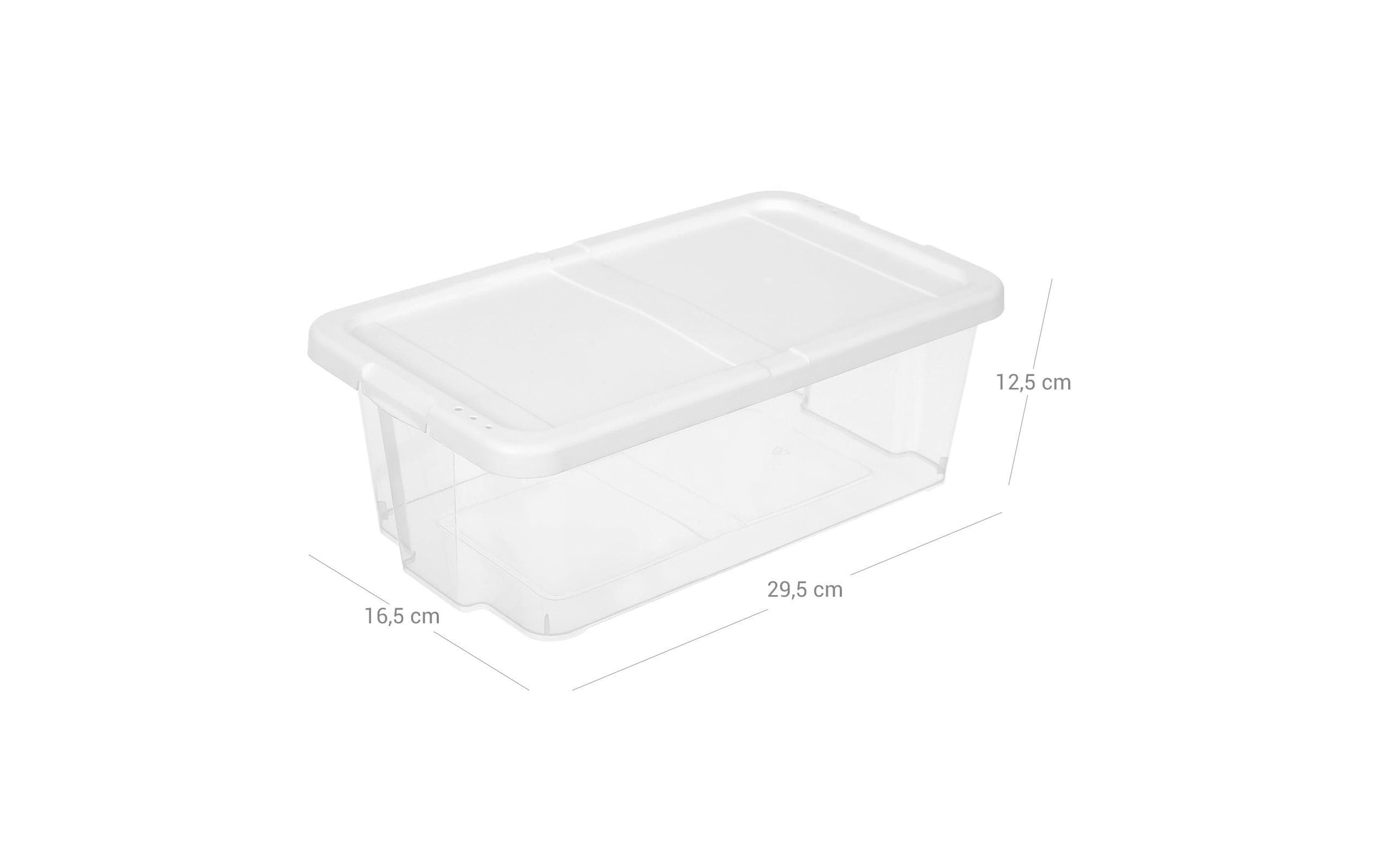 SONGMICS Schuhbox »mit Deckel 12-teilig«