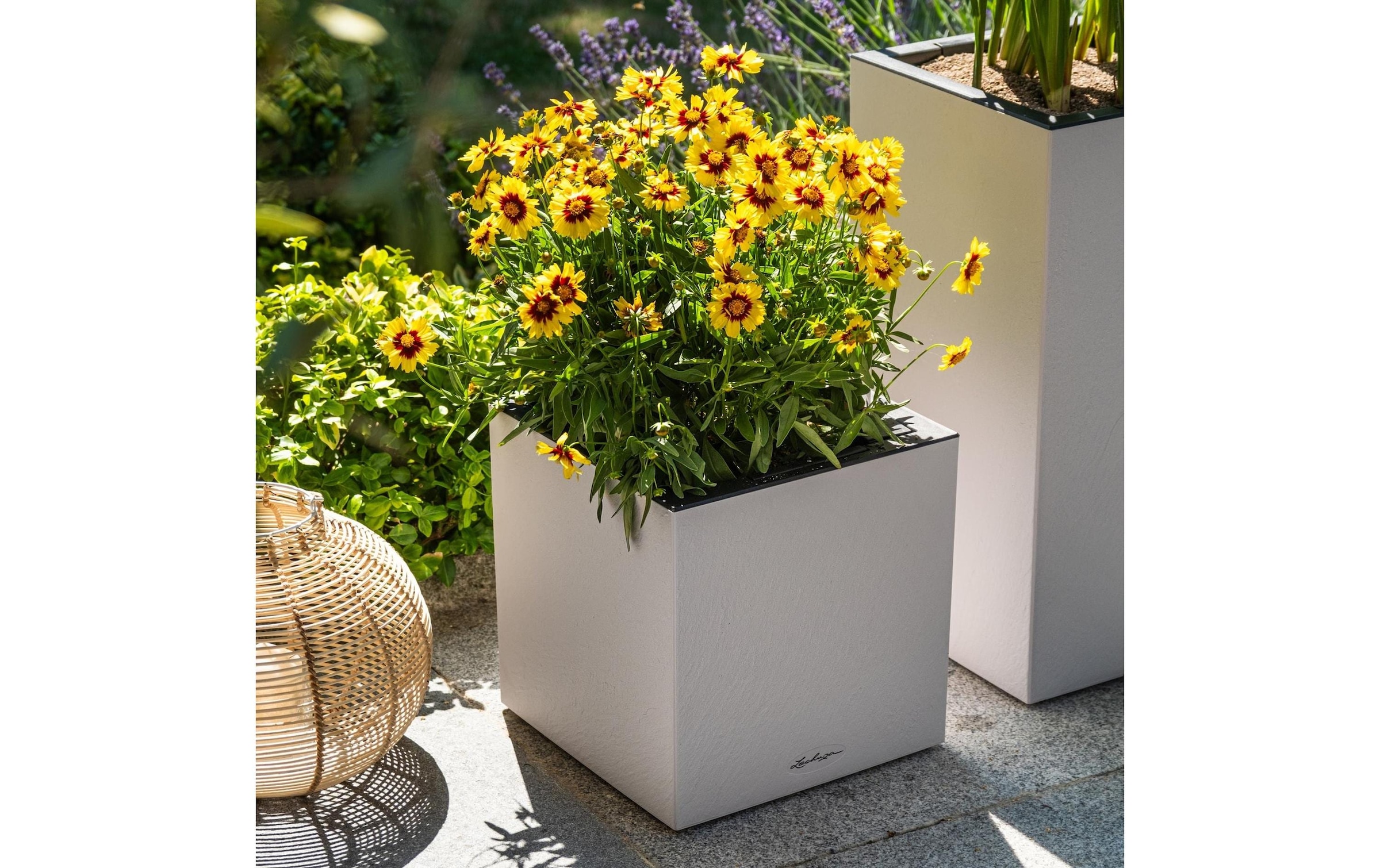   Bac à plantes »Lechuza CANTO Slatestone 30 high«