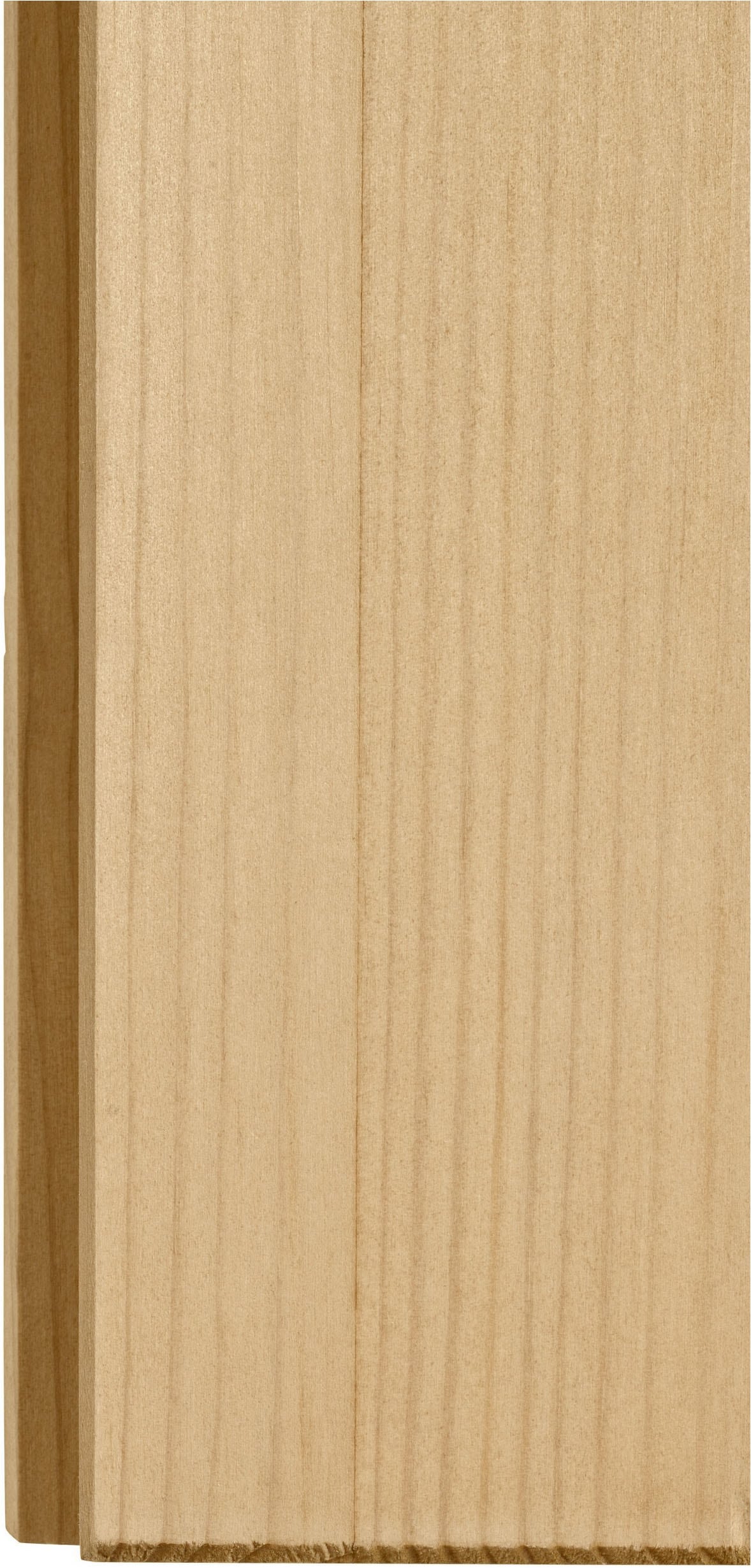 Home affaire Hängeschrank »Alby« Breite 100 cm , 2 Türen