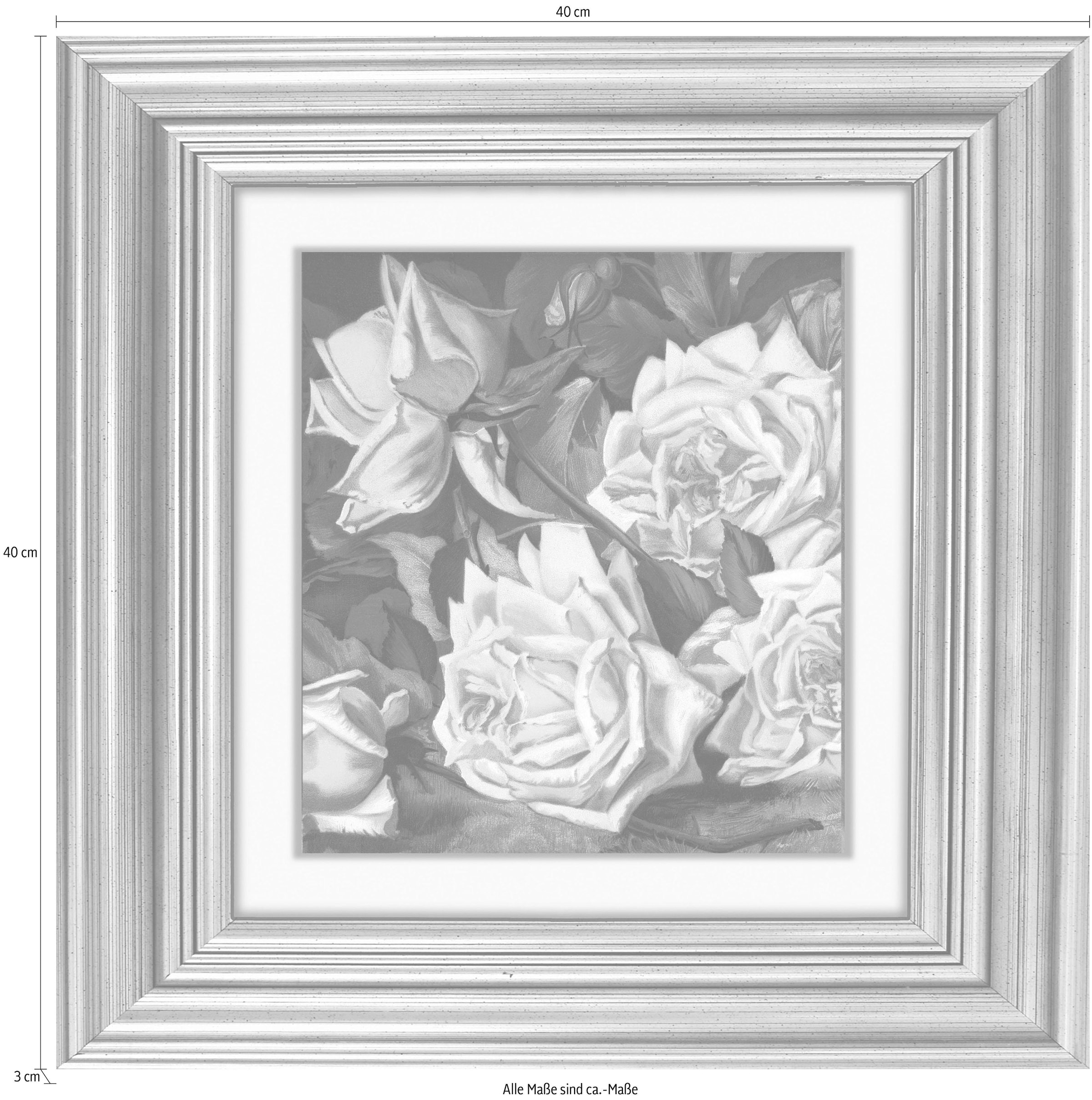 queence Acrylglasbild »Rosen« Blumenbilder | Gemälde | Kunst | Pflanzen | Pflanzenbilder Fine Art-Print in Galeriequalität