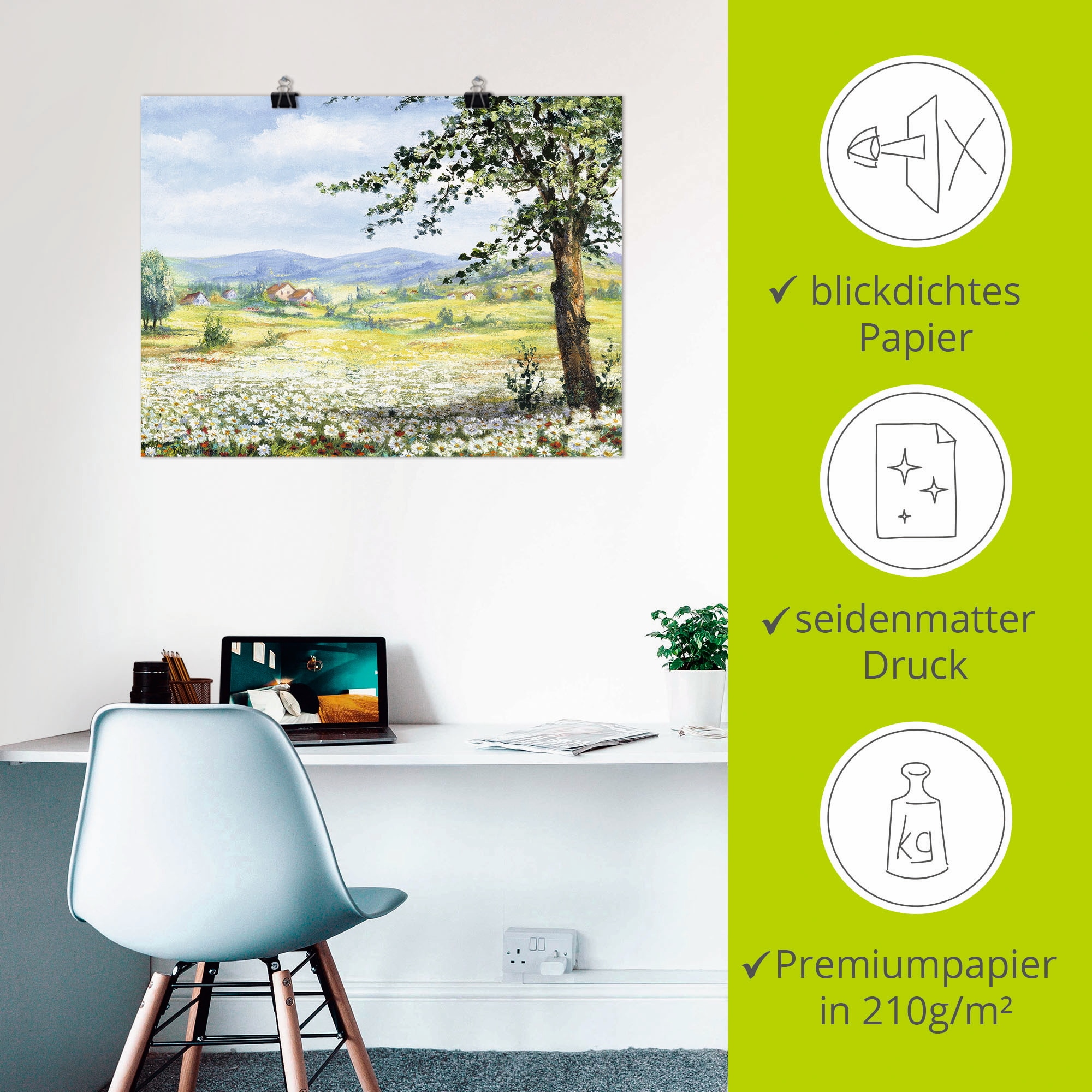 Artland Poster »Margeritenfeld« Wiesen & Bäume 1 Stk. tlg. ohne Rahmen