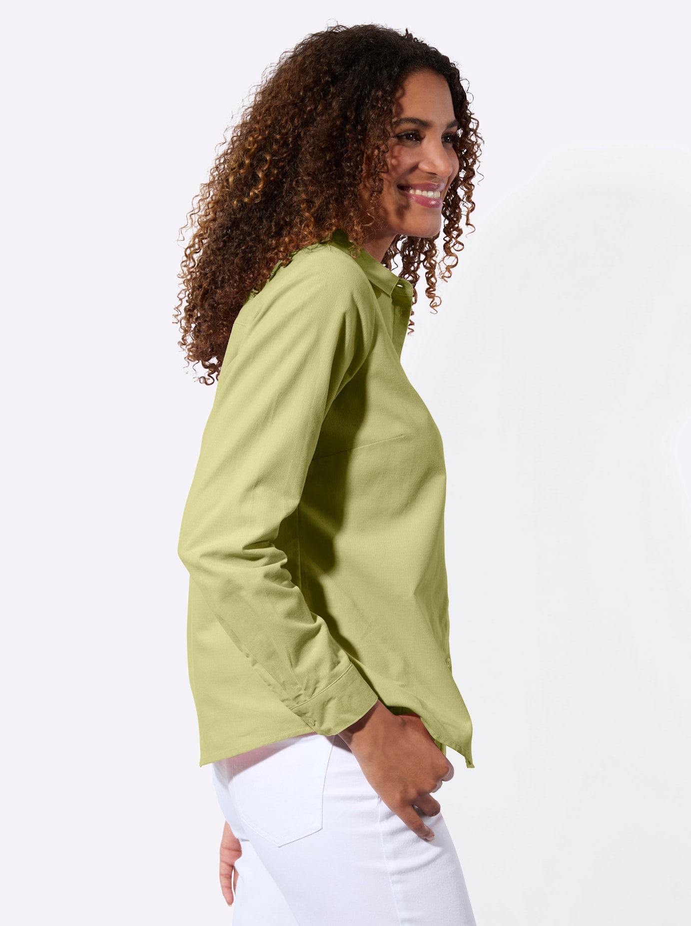 Casual Looks Blouse chemise