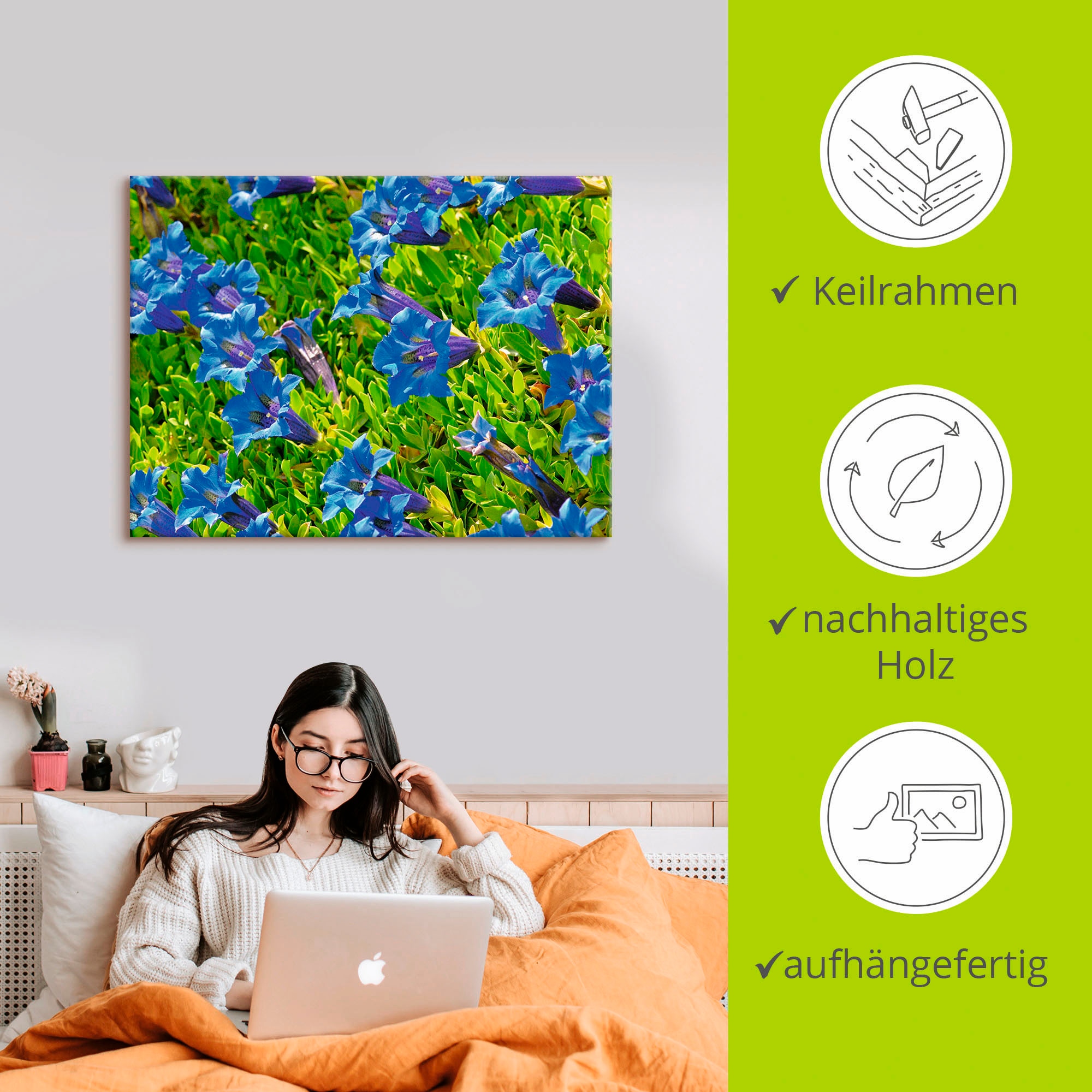 Artland Leinwandbild »Enzian« Blumenwiese 1 Stk. tlg. auf Holzrahmen gespannt