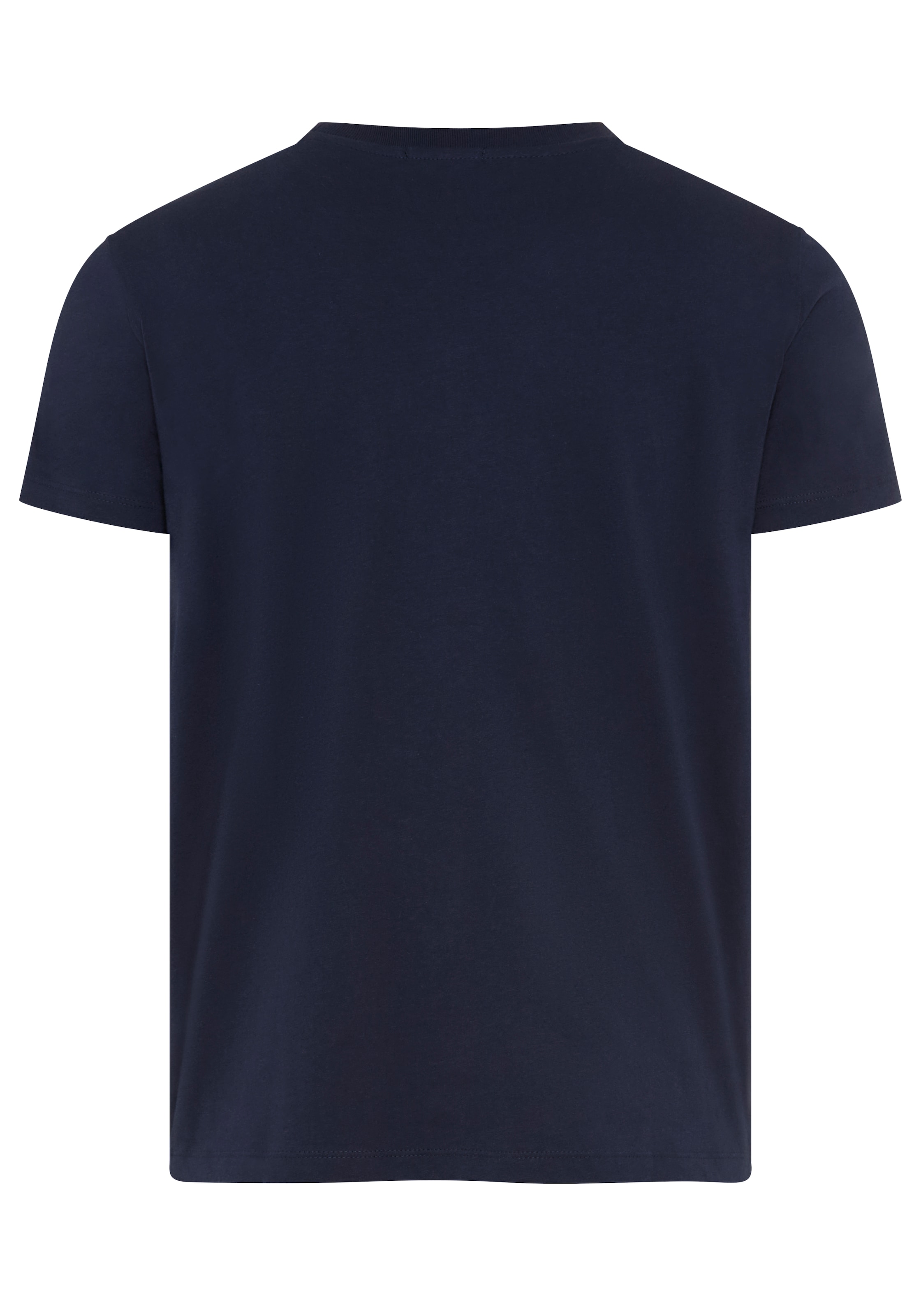 Replay T-Shirt in Baumwollqualität