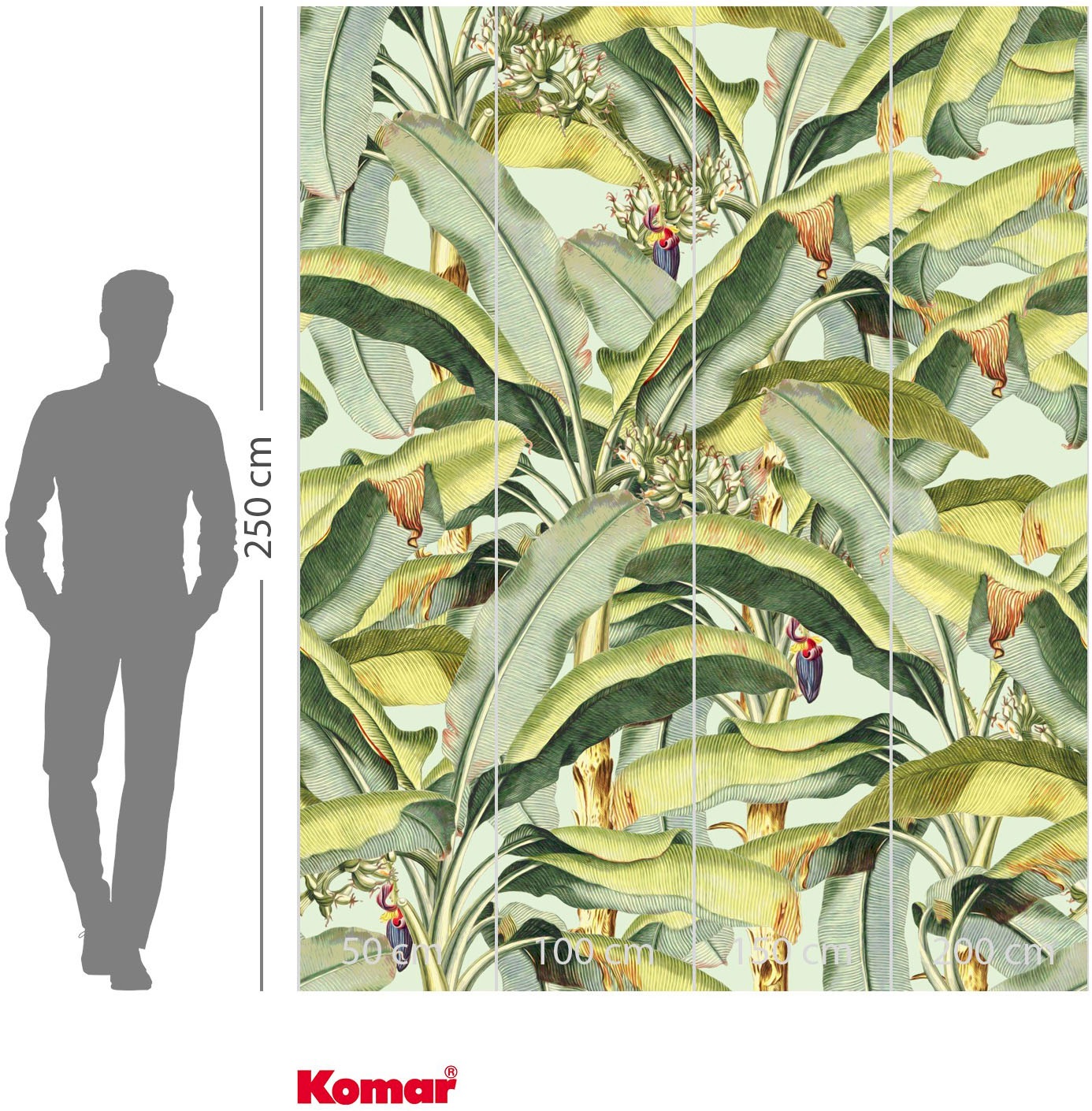 Komar Fototapete »Vlies Fototapete - Banana Grove - Grösse 200 x 250 cm« Motiv | bedruckt glatt