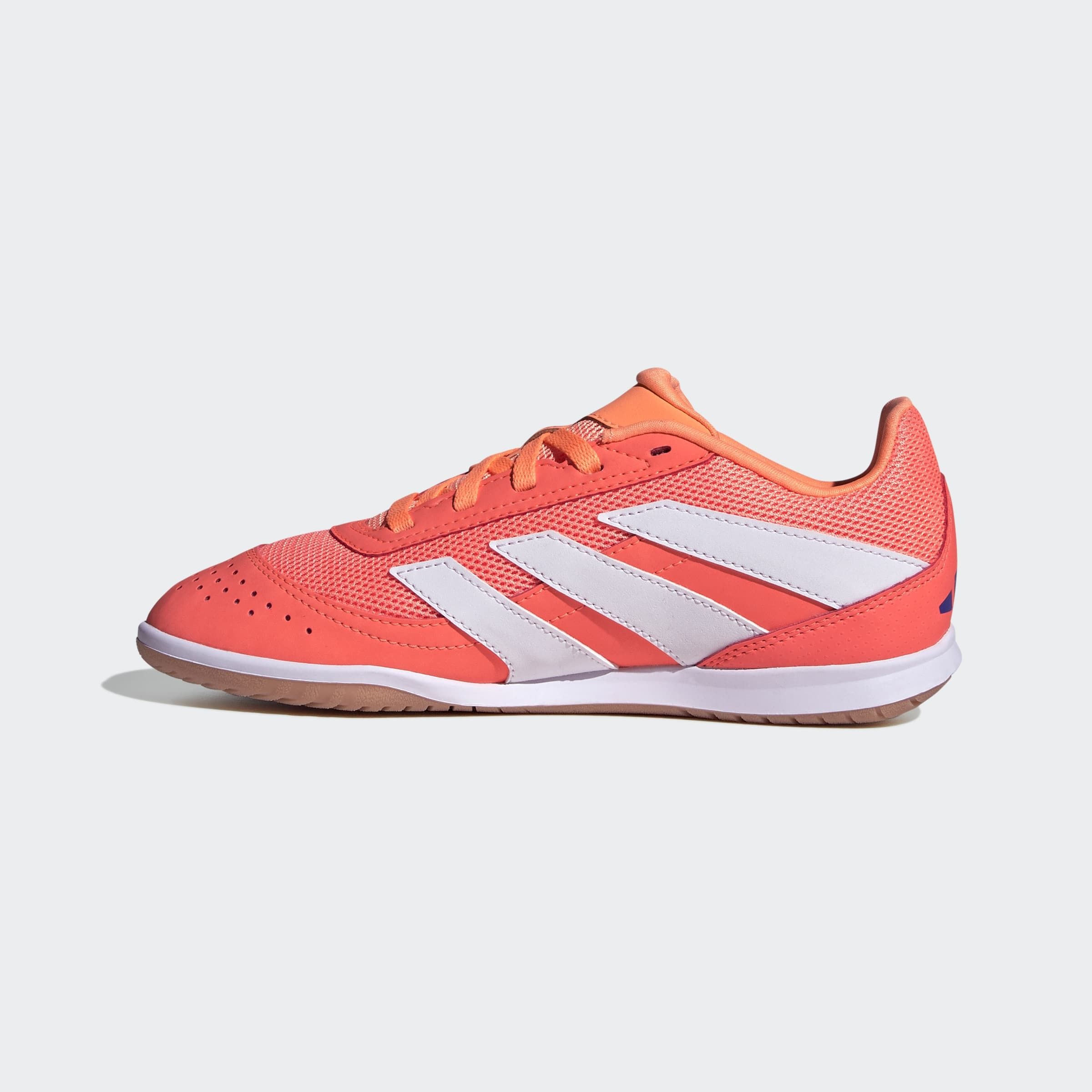 adidas Performance Chaussure de football »PREDATOR CLUB INDOOR SALA  KINDER«  adapté comme chaussure de salle, pour enfants et adolescents