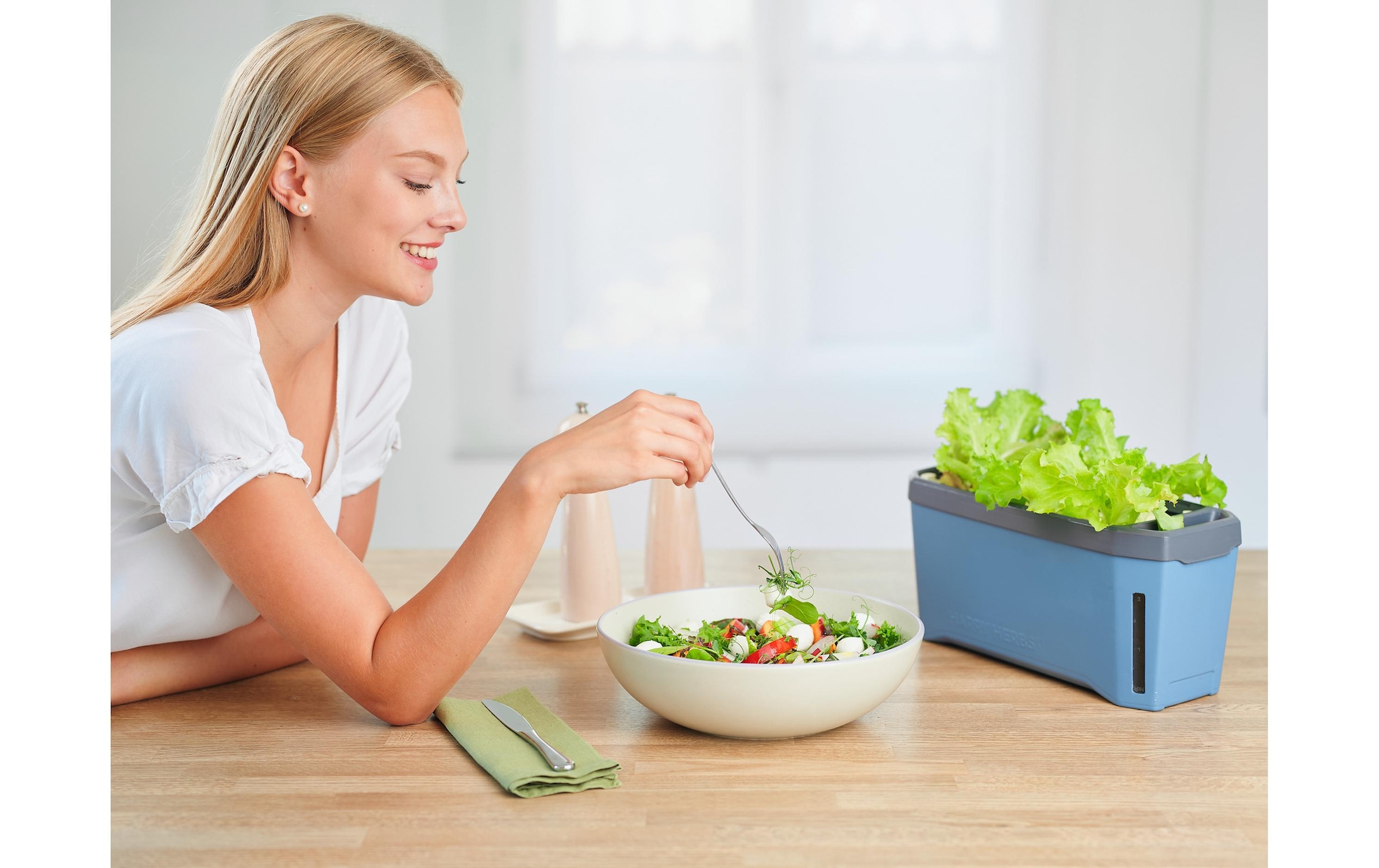 Gusta Garden Kräutertopf »HERBS blau«