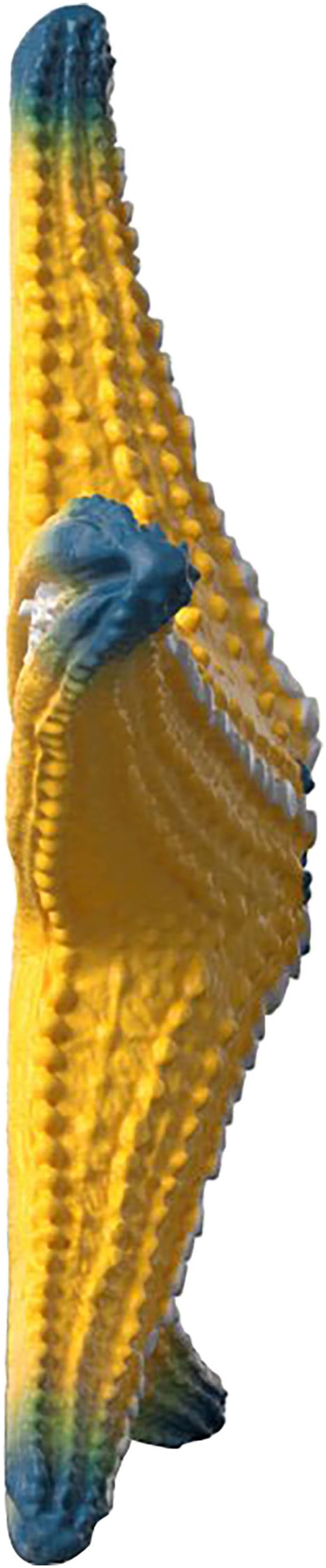 Schleich® Personnage de jeu »WILD LIFE, Seestern (14902)« mit Farbwechsel