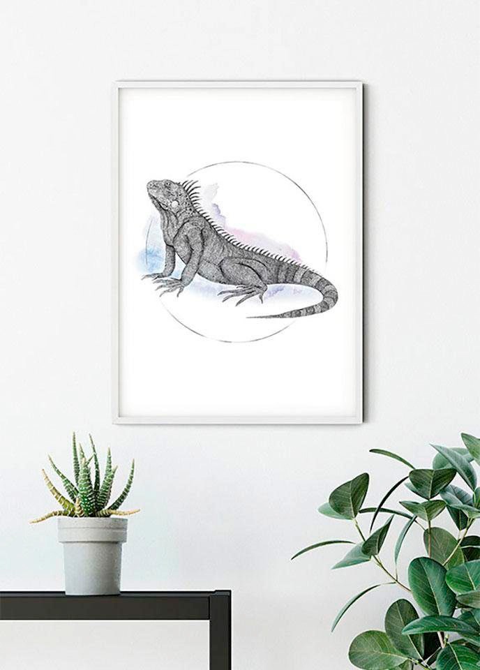 Komar Image »Iguana Watercolor« 1 cuis tlg. Wandbild zur Dekoration - ohne Rahmen