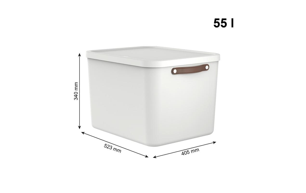 ROTHO Boîte de rangement »Rotho Aufbewahrungsbox MALOJA 55 l, 2 Stück«