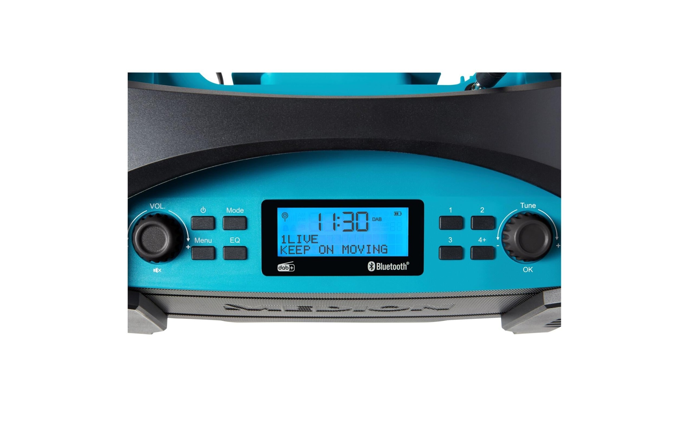 Medion® Baustellenradio »LIFE E66050 Blau« (Bluetooth Digitalradio (DAB+) | FM-Tuner )
