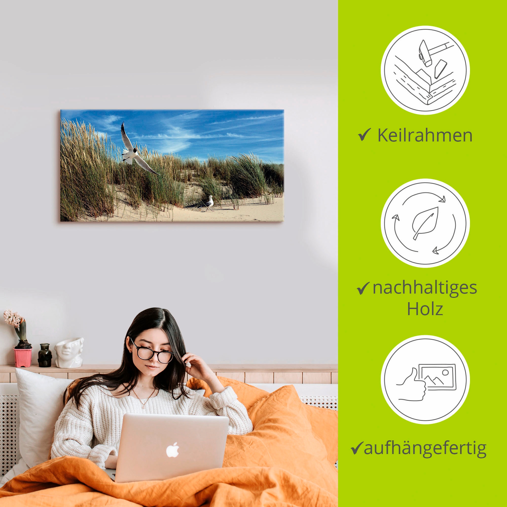 Artland Tableau sur toile »Möwe und Seeschwalbe in Dünenlandschaft« 1 cuis tlg. auf Holzrahmen gespannt