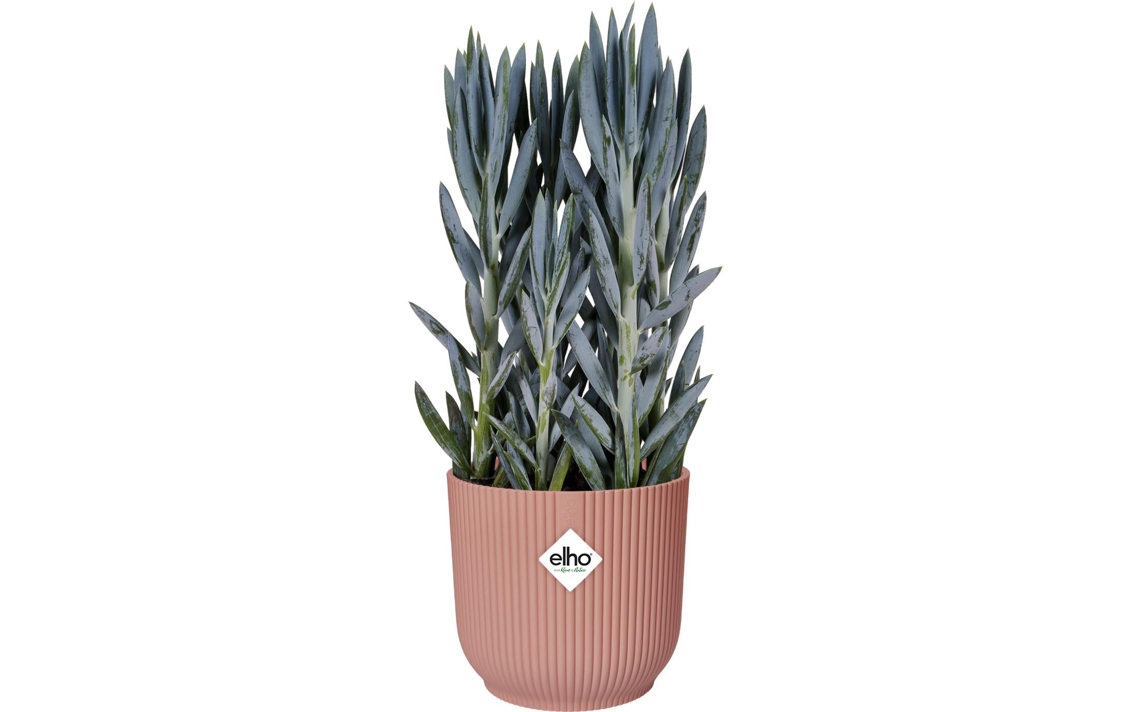 Elho Pot de fleurs »Vibes Fold Rund 30 cm«